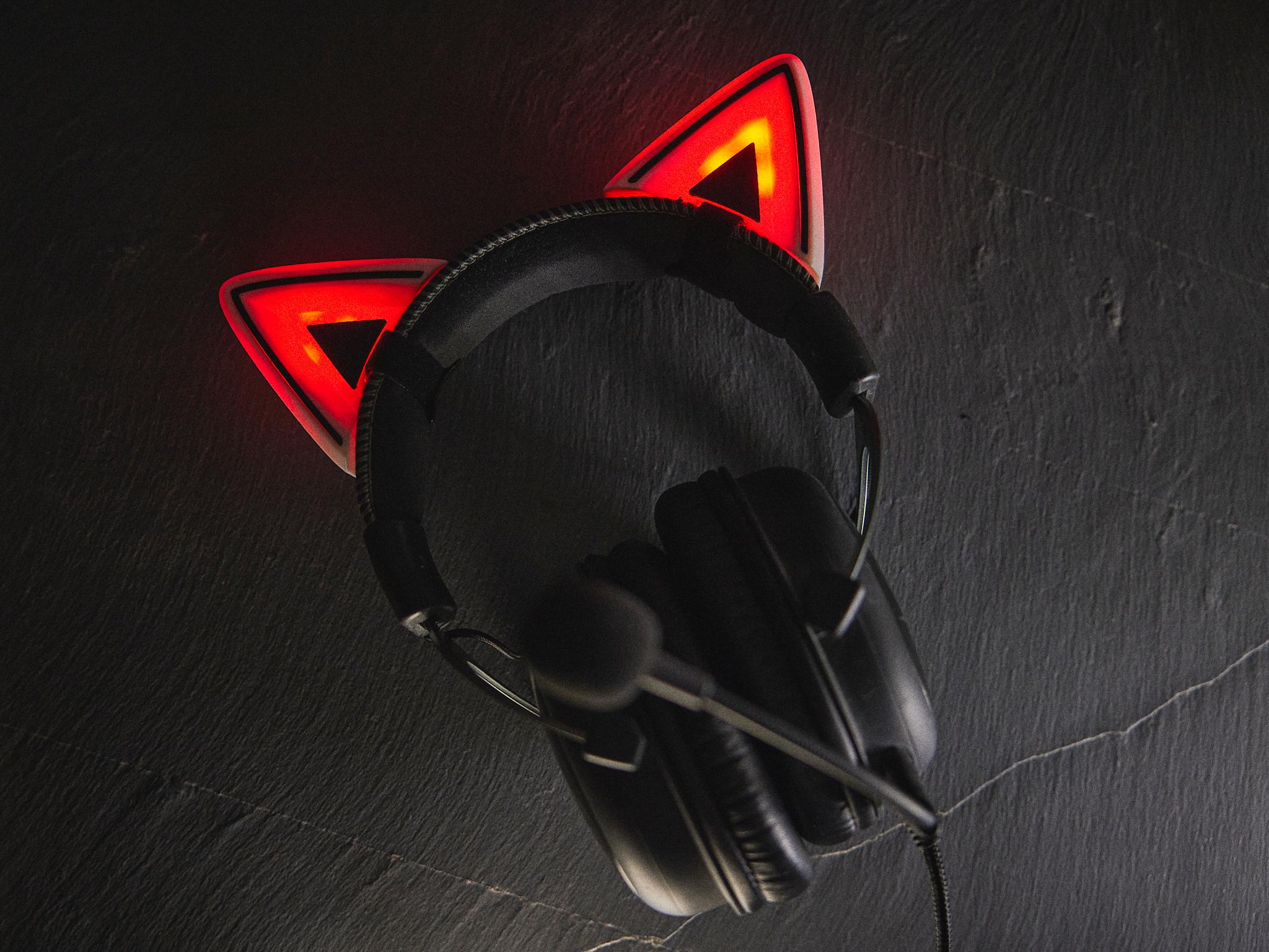 RGB Light Cat Ears for Headphones 3d model