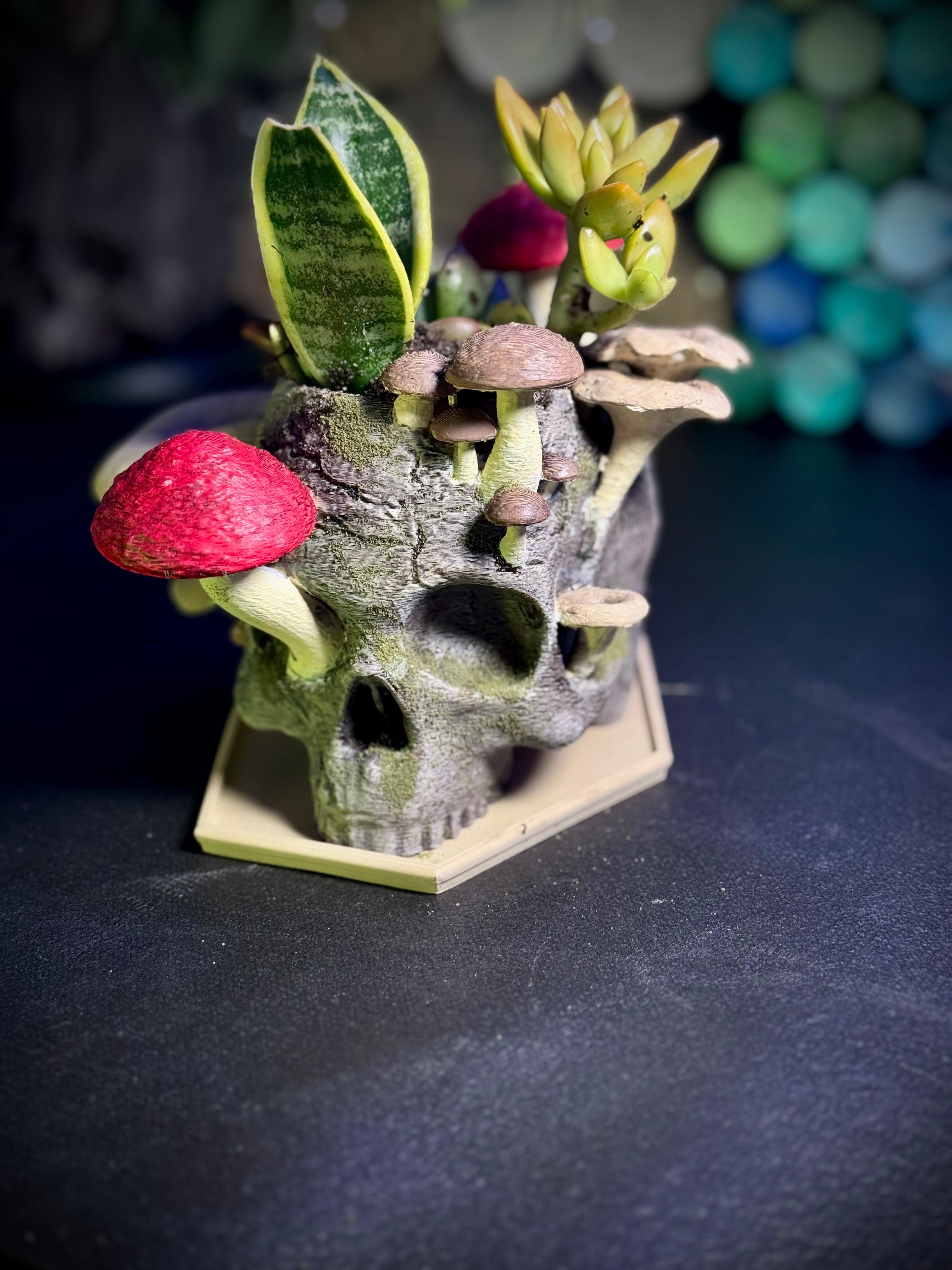 The Reclaimed Skull Planter 3d model