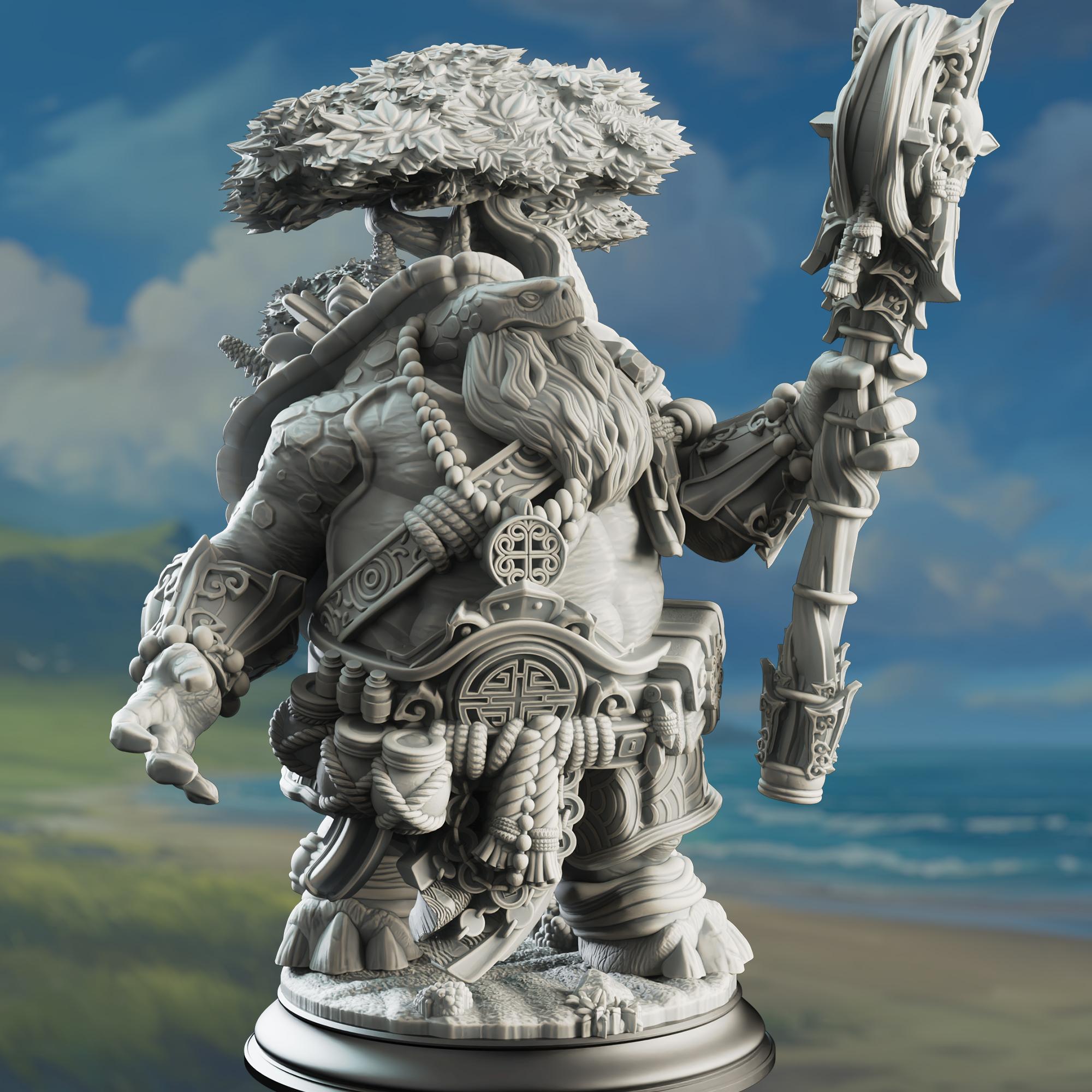 Tortle Wiseman Wizard - Elki the Wanderer 3d model