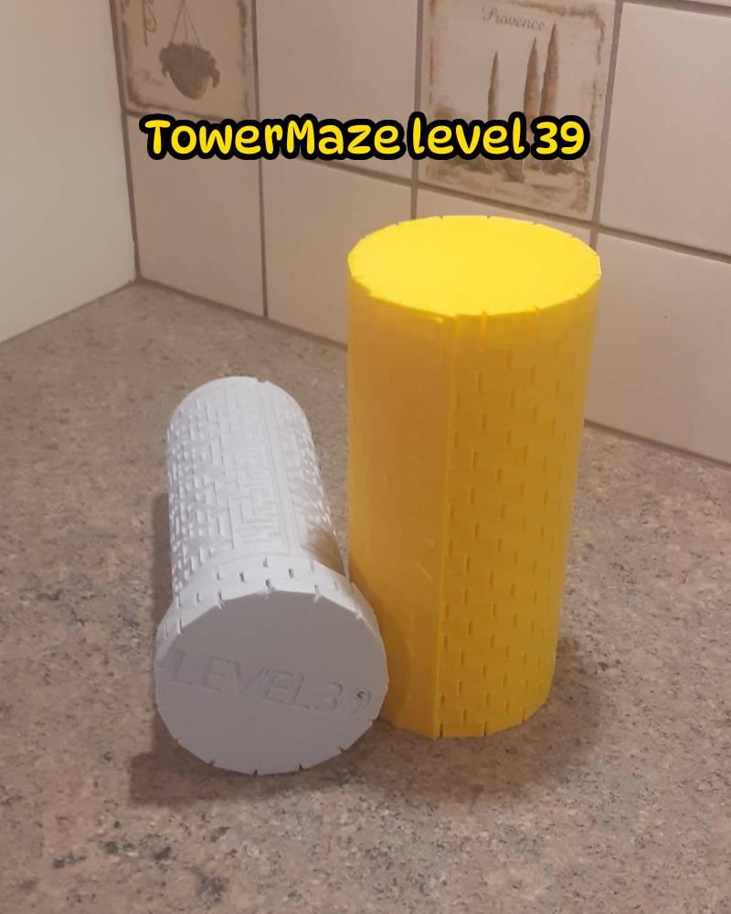 TowerMaze Level 39 3d model