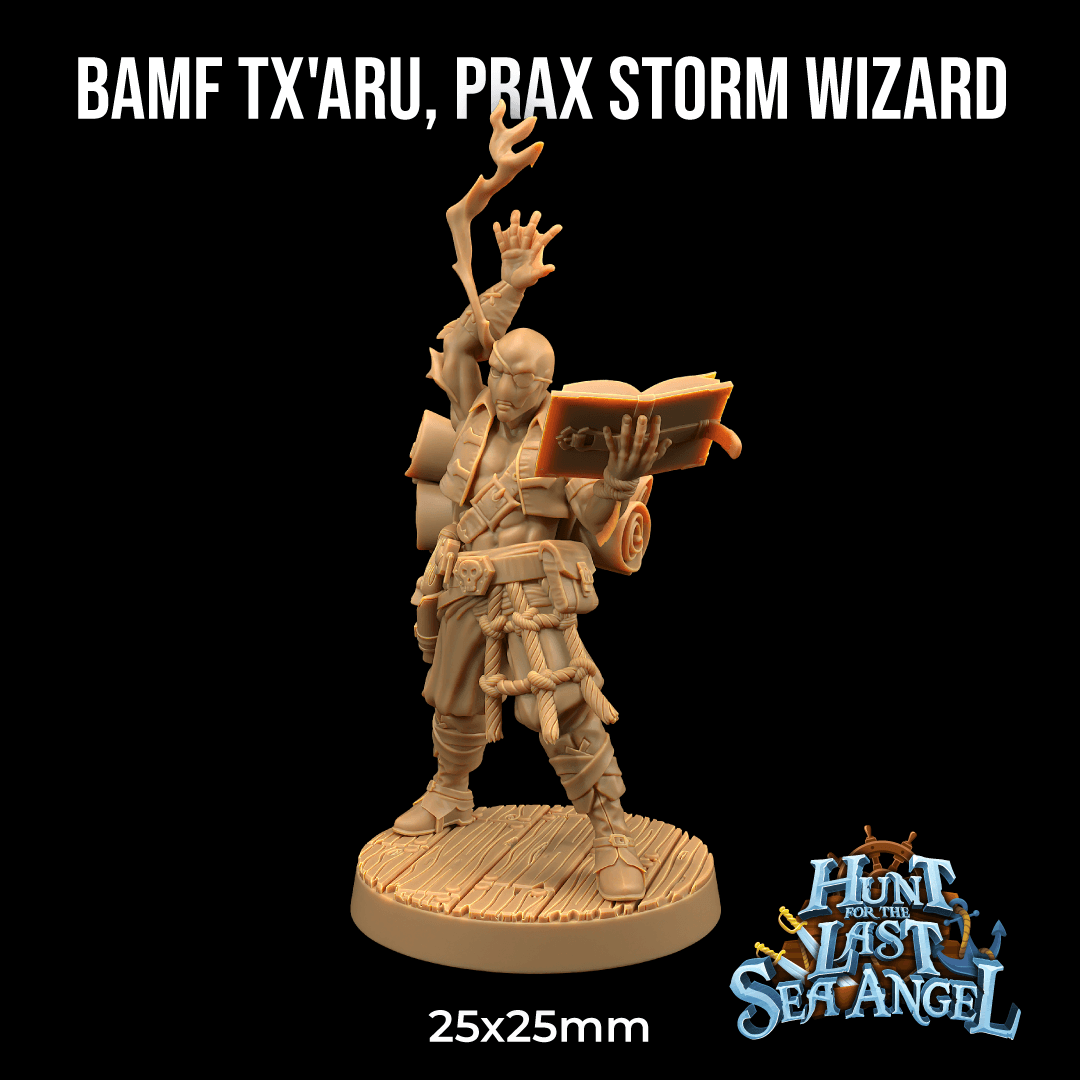 Bamf Tx'Aru, Prax Storm Wizard 3d model