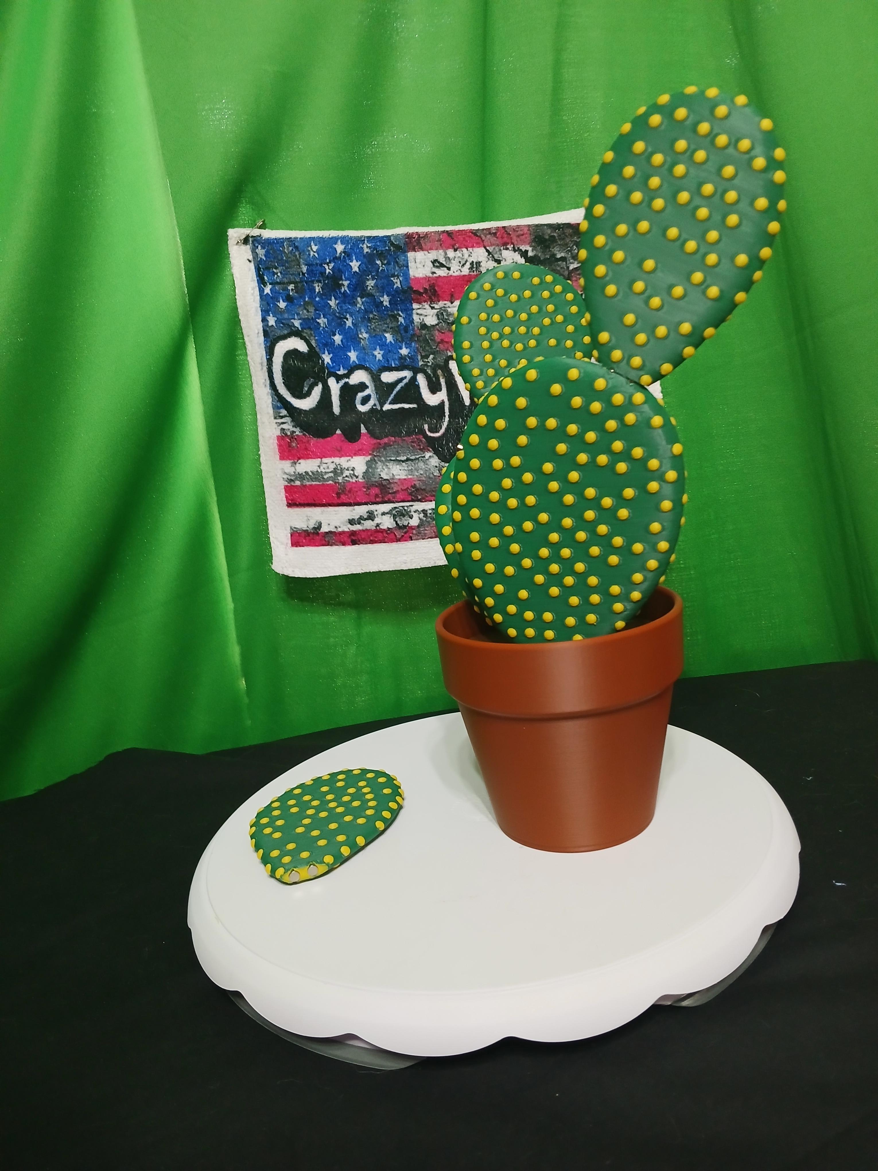 Cactus Coasters  3d model