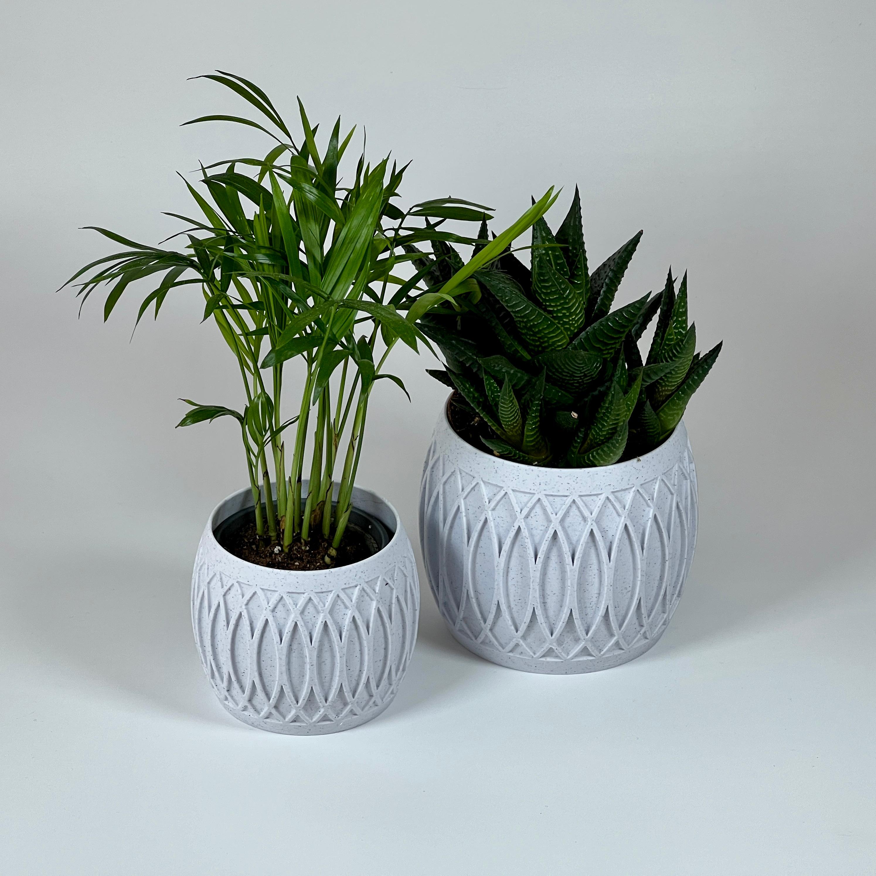 Set of 2 Flower Plats Planter Pot 3d model