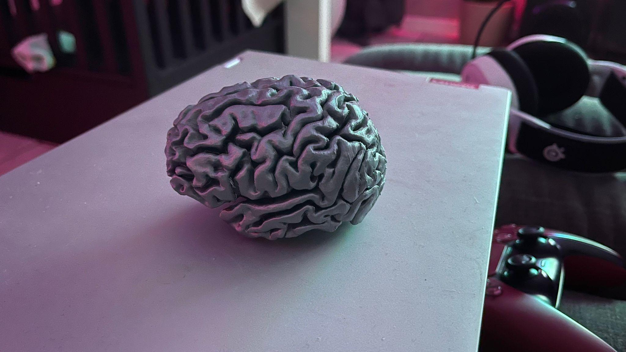 My actual brains 3d model