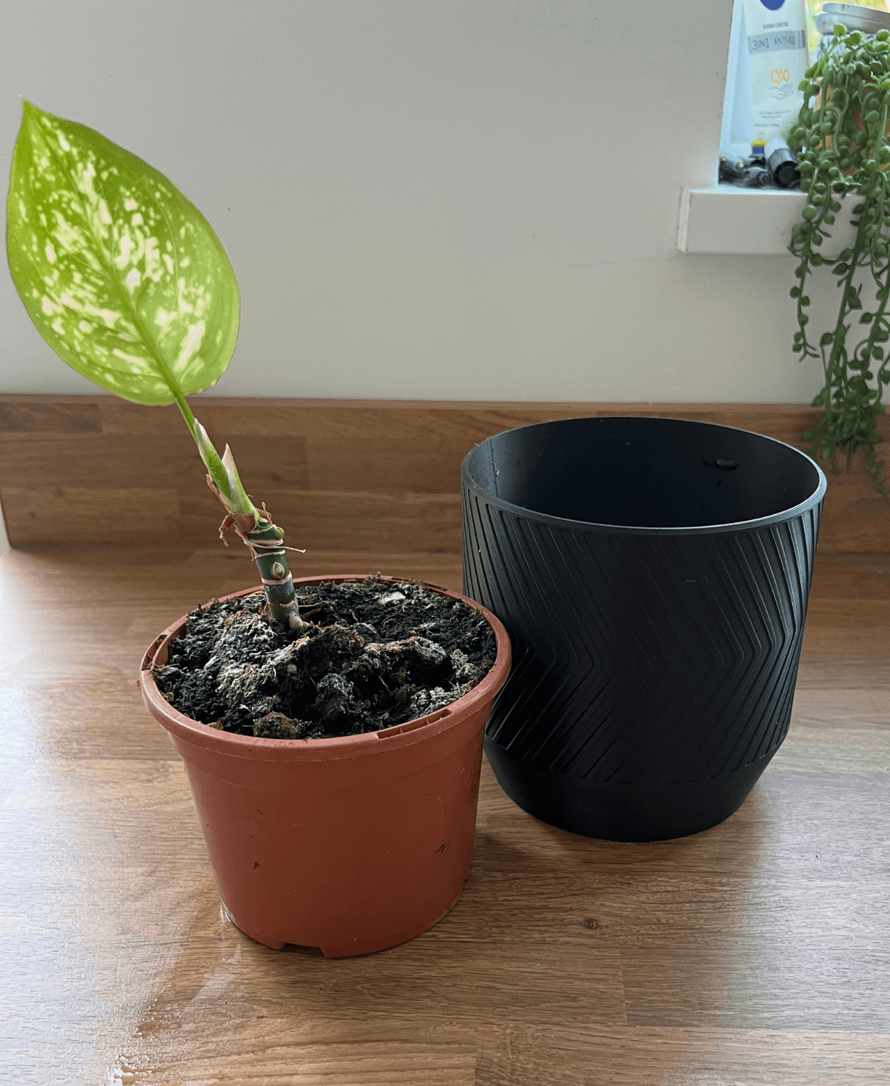 Plant Pot with internal raised drip tray 3d model