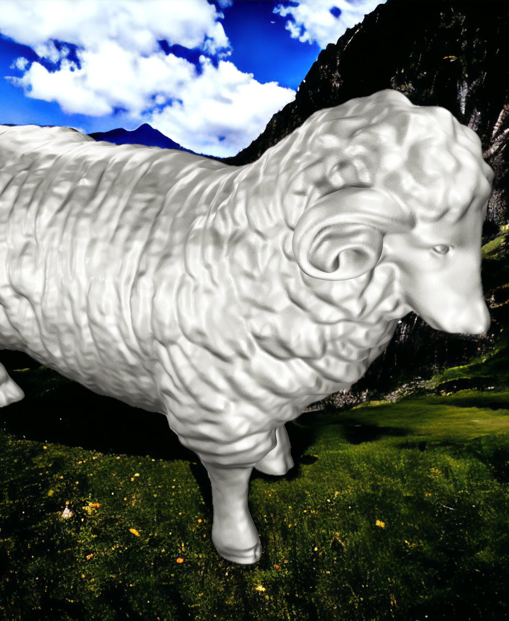 Sheep 3d model