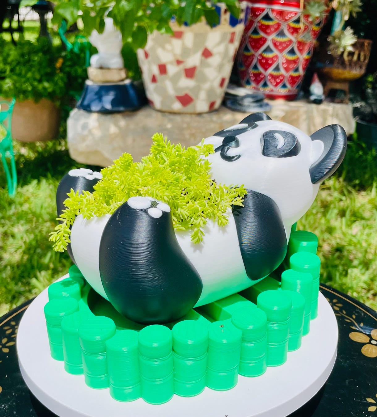 Panda Planter/Bowl with Bamboo Tray 3d model