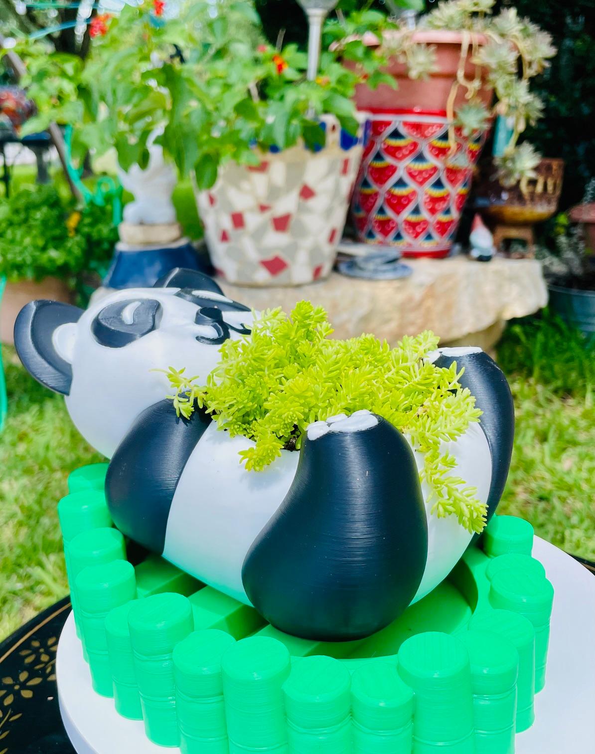 Panda Planter/Bowl with Bamboo Tray 3d model