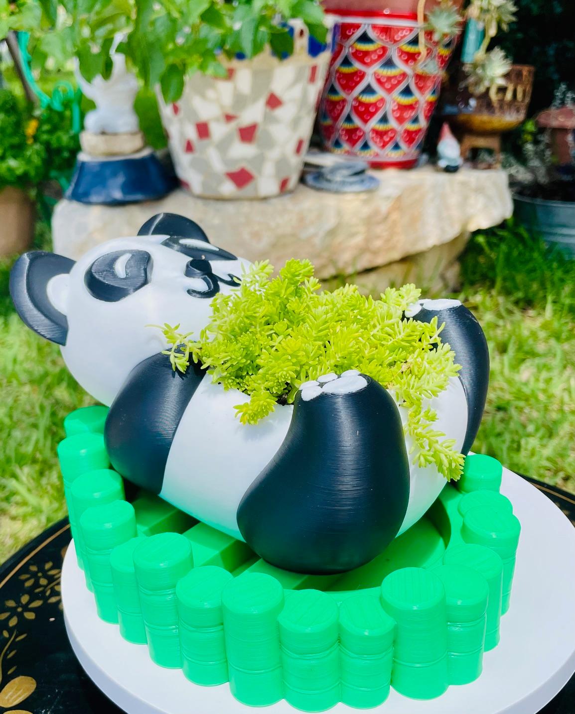 Panda Planter/Bowl with Bamboo Tray 3d model