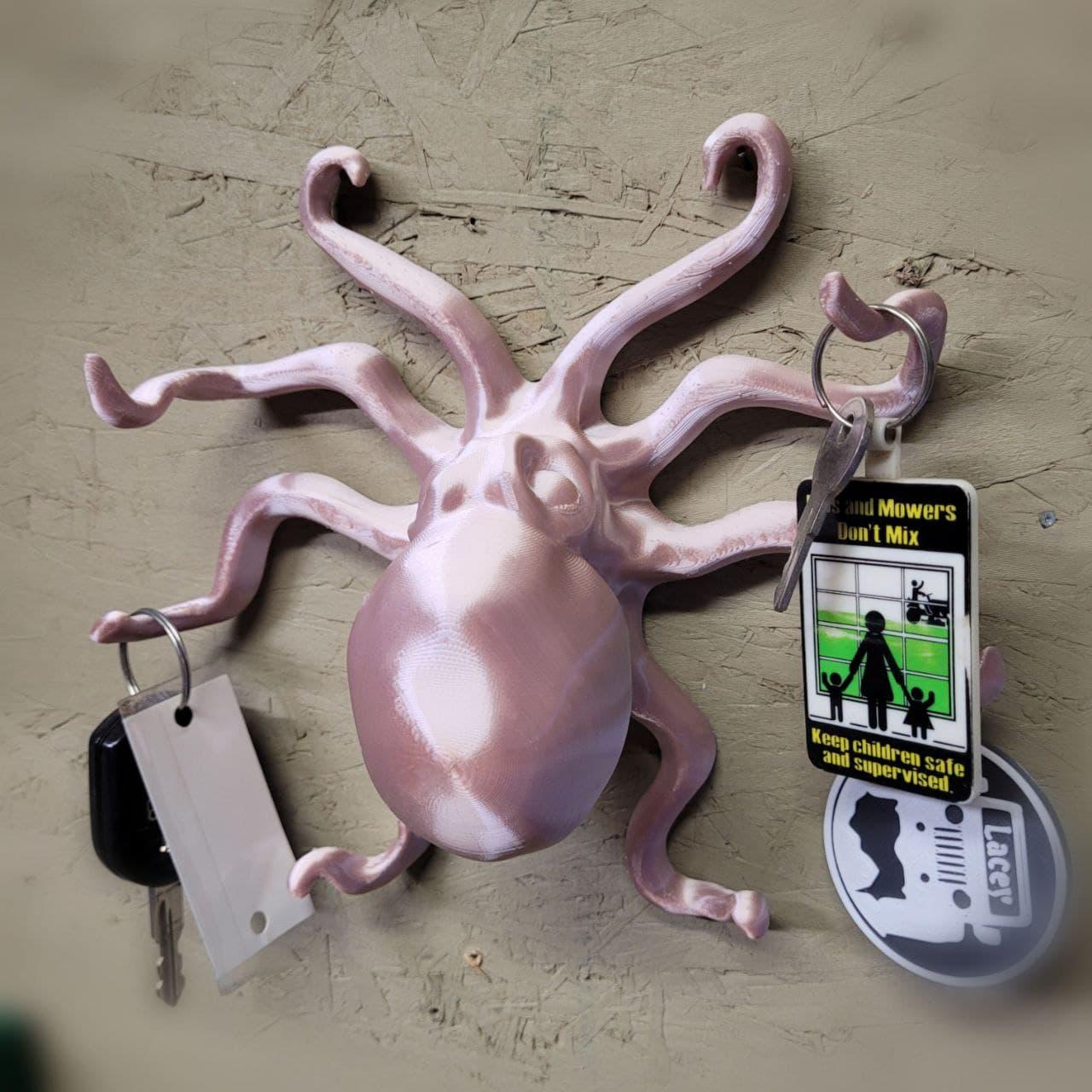Octopus Key Holder 3d model