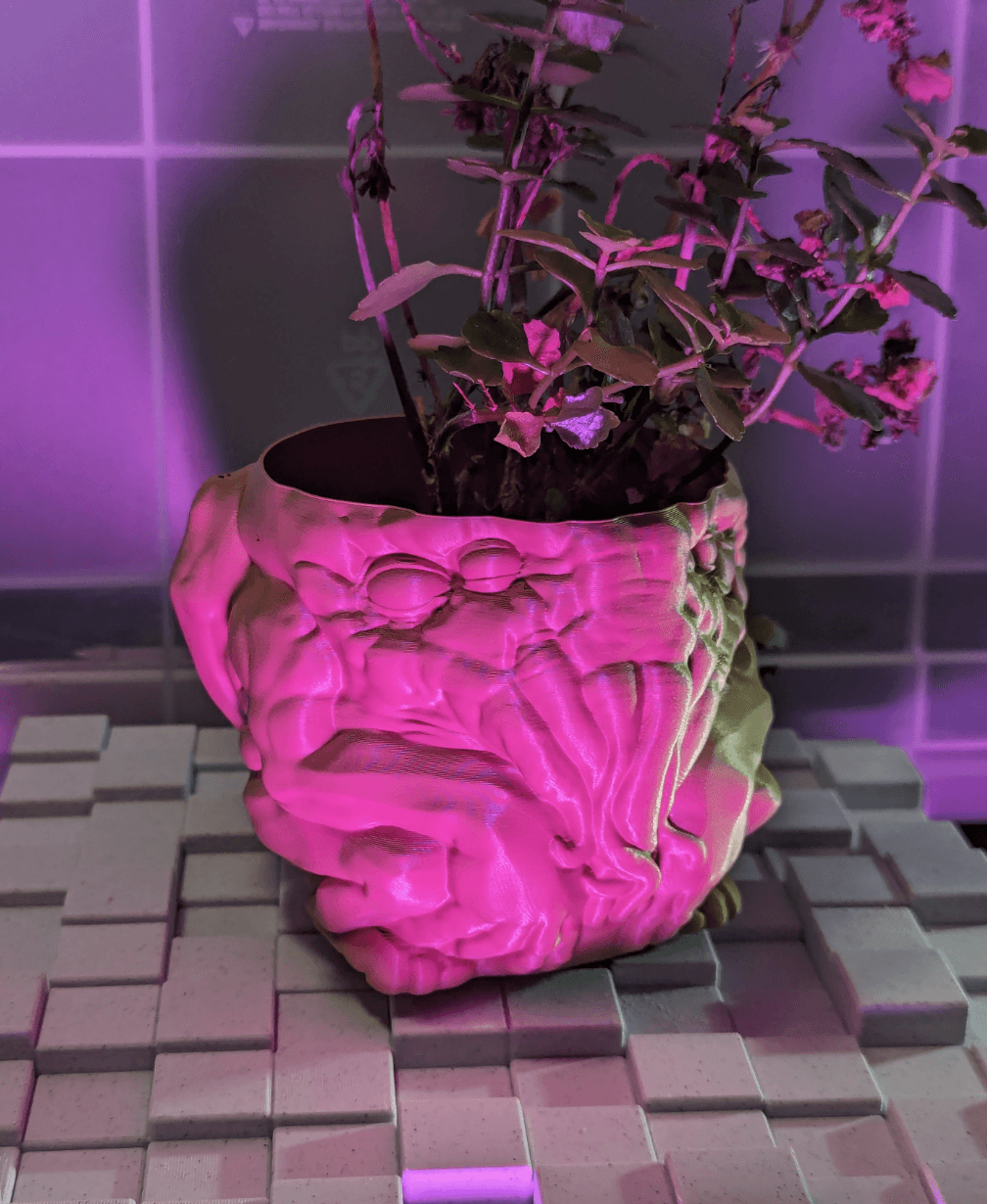 Chunky Cthulhu Vase-Mode Planter 3d model