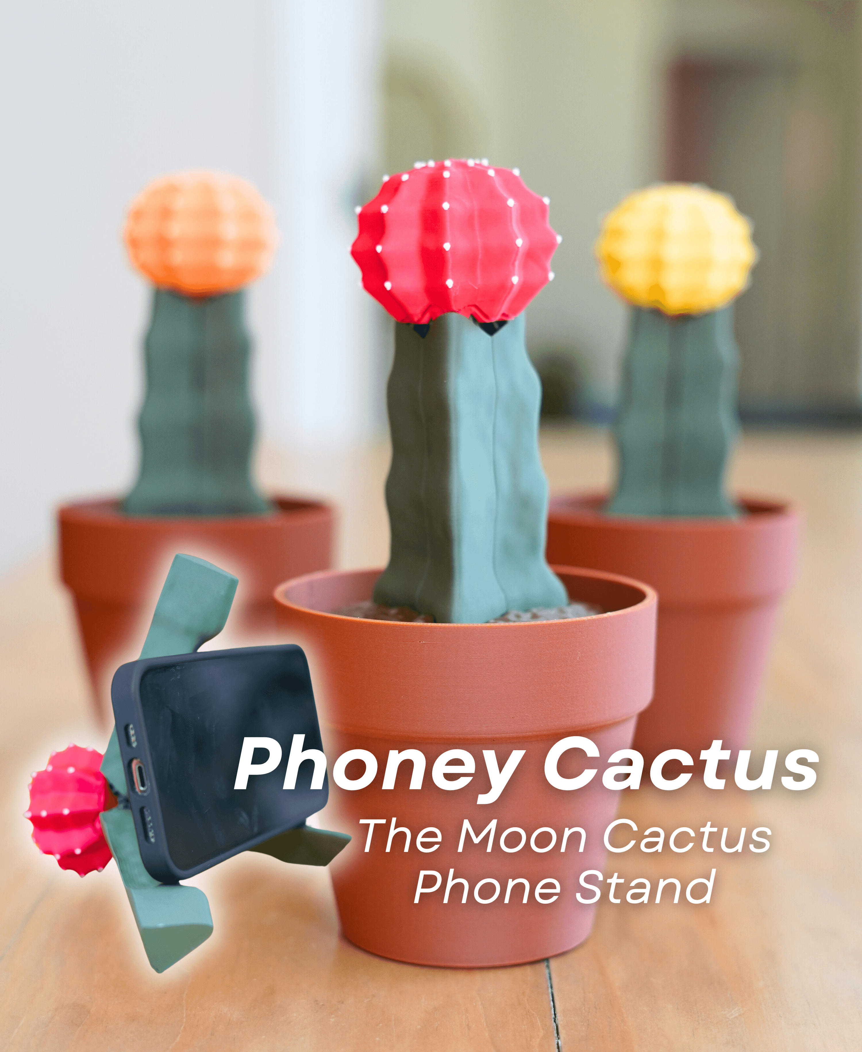 Phoney Cactus - The Moon Cactus Phone Stand 3d model