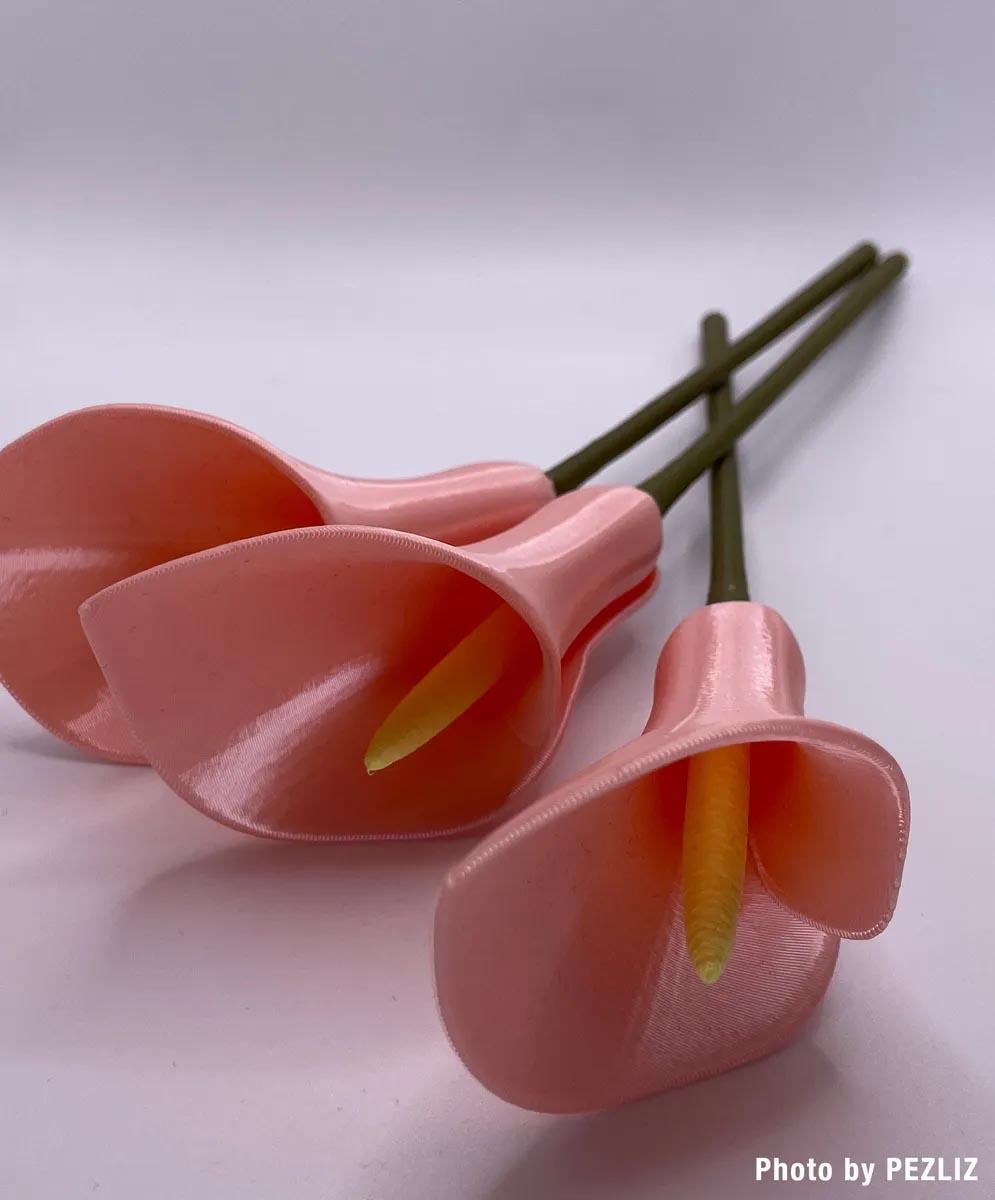 Calla Lily Flower (Vase Mode) 3d model