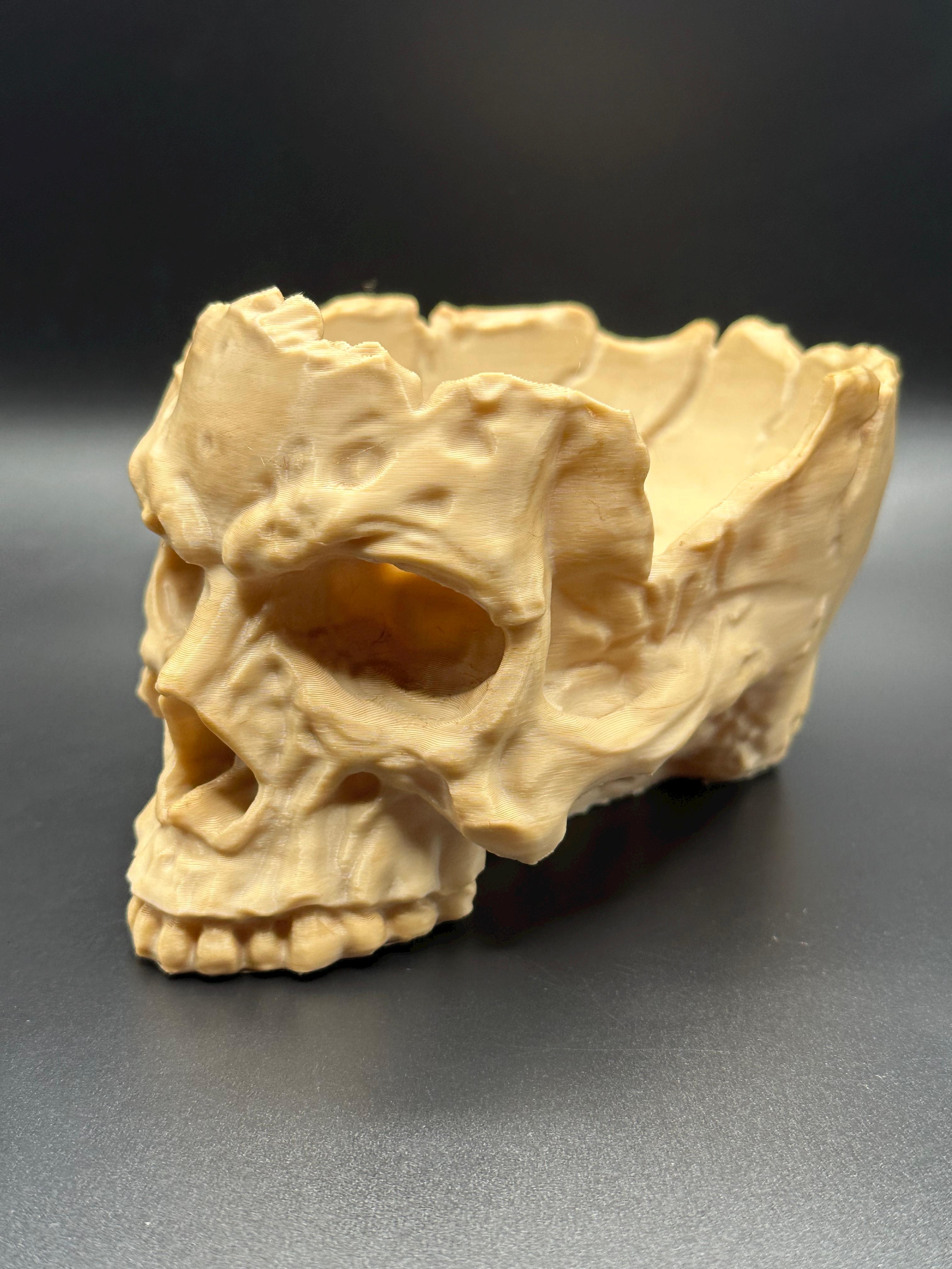 Skull Bowl  3d model