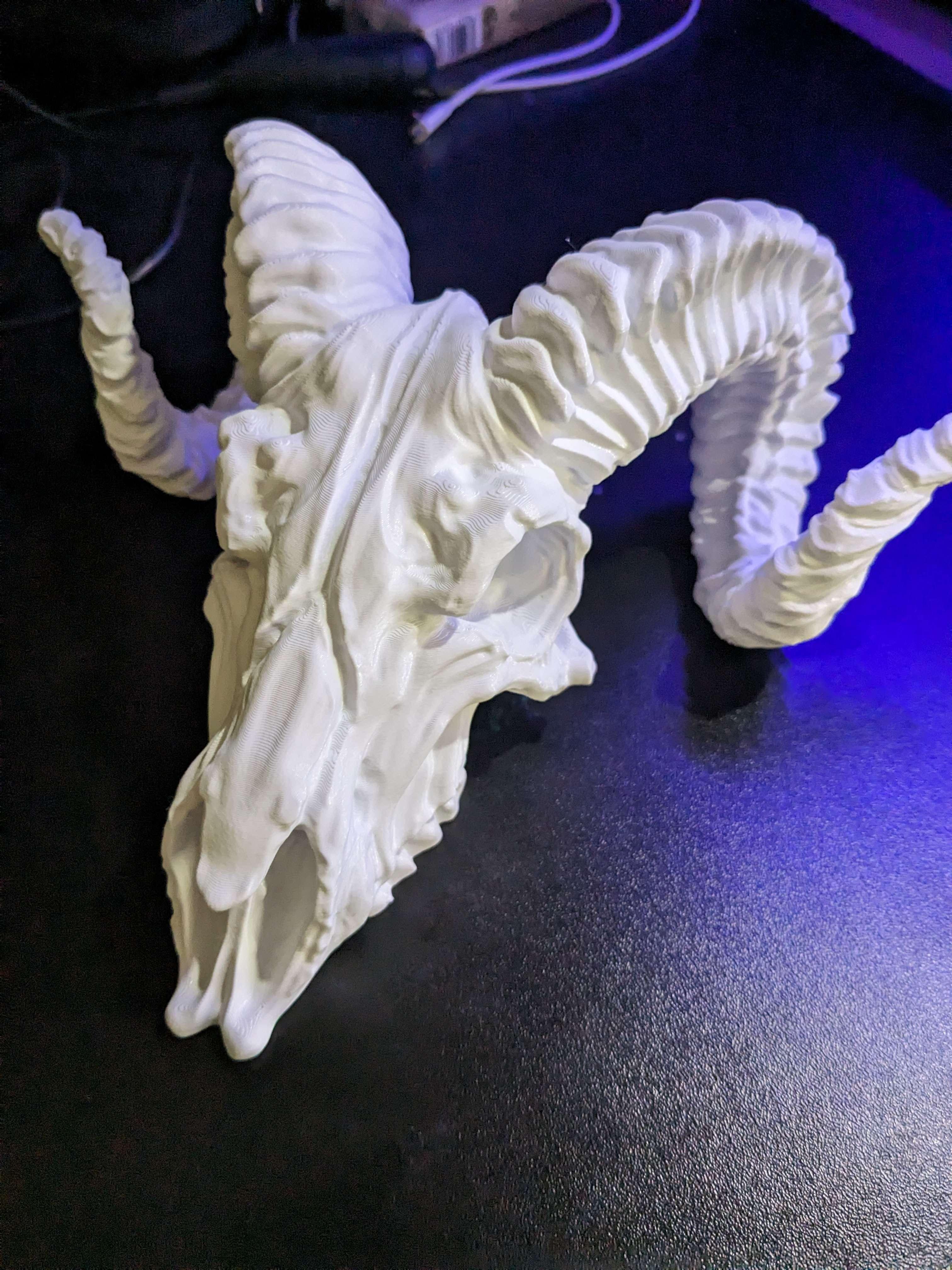 Ram Skull  - Printed on a P1P in PLA+. 5% Gyroid, slim tree supports, 0.4 Nozzle. 

Thanks for the model. - 3d model