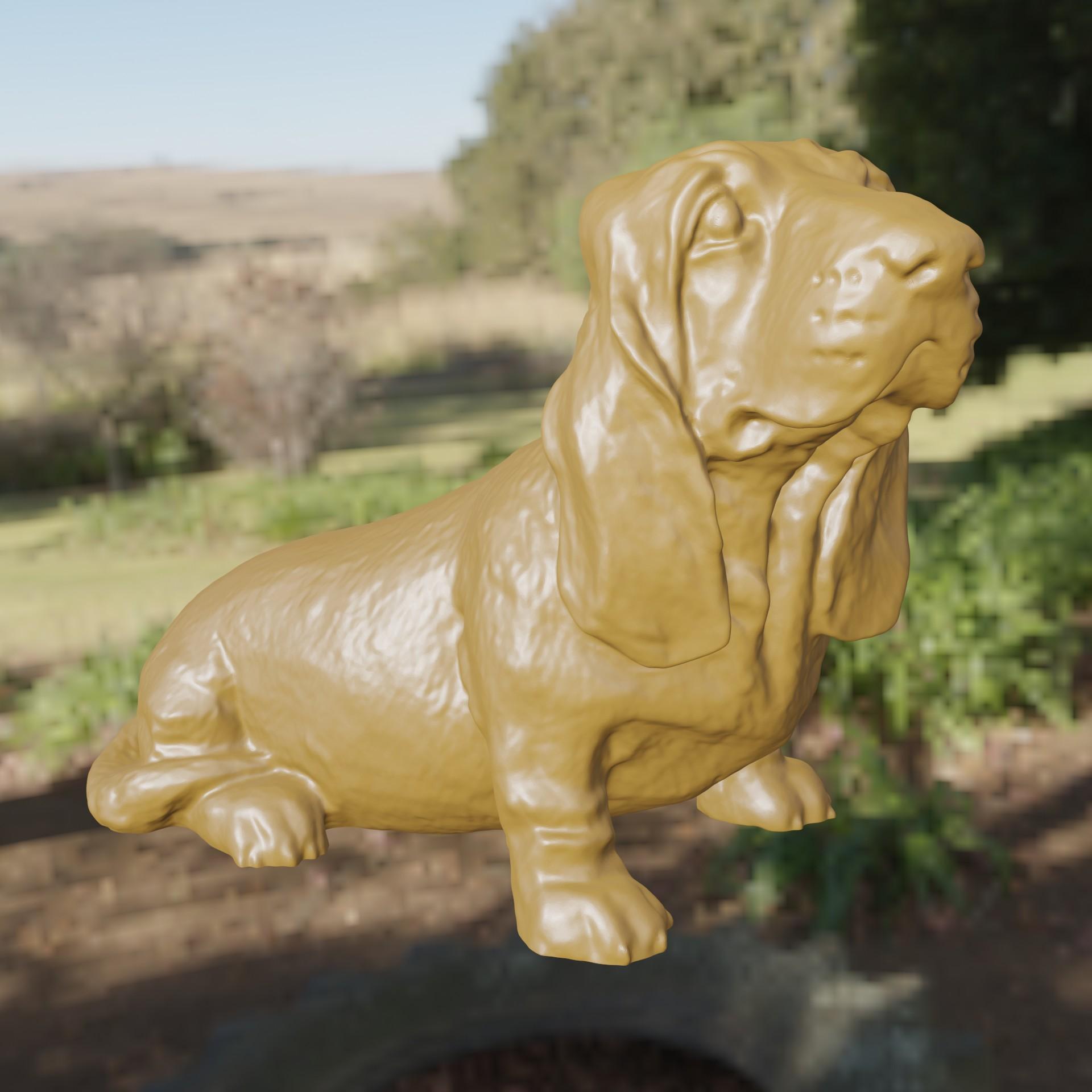 Basset hound 3d model