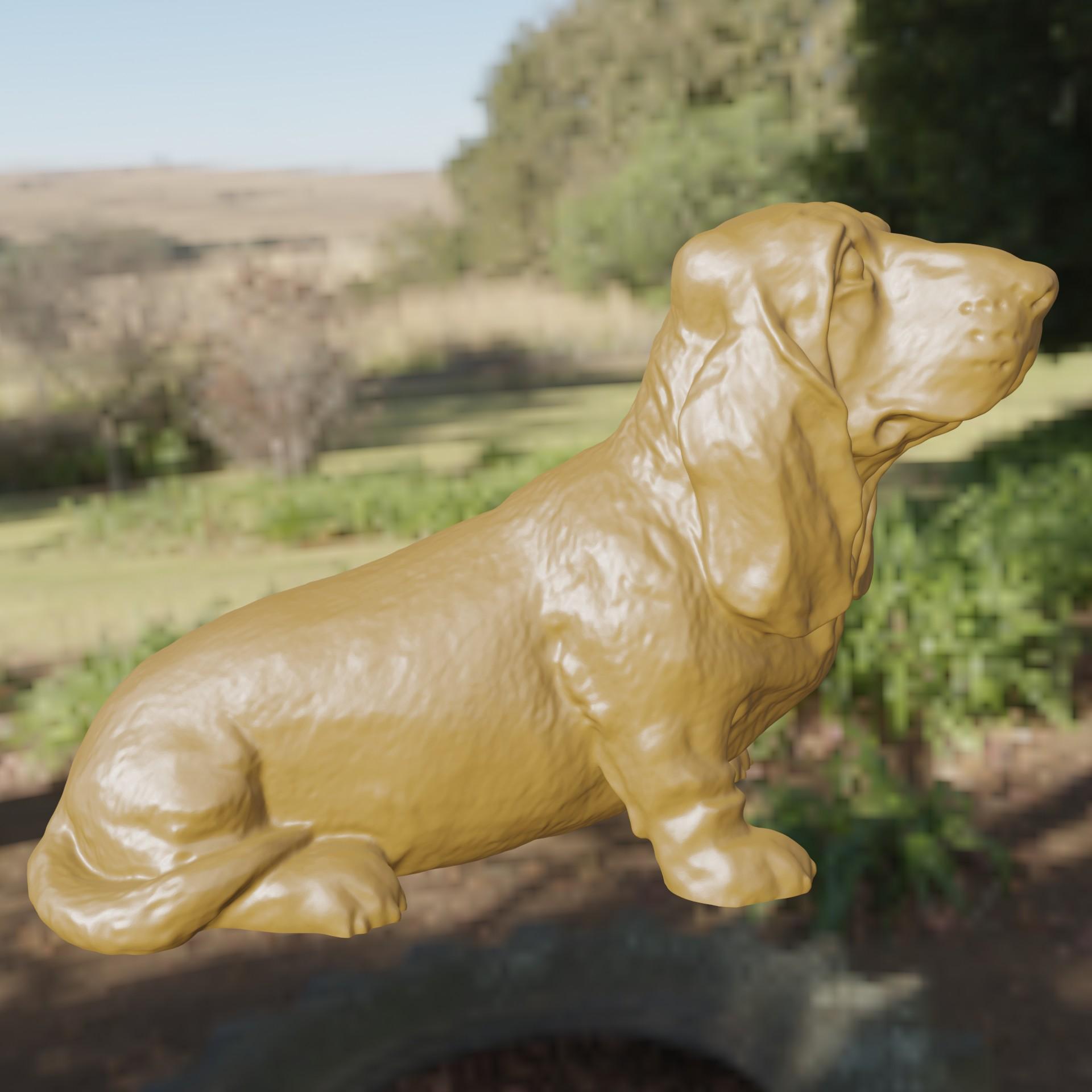 Basset hound 3d model