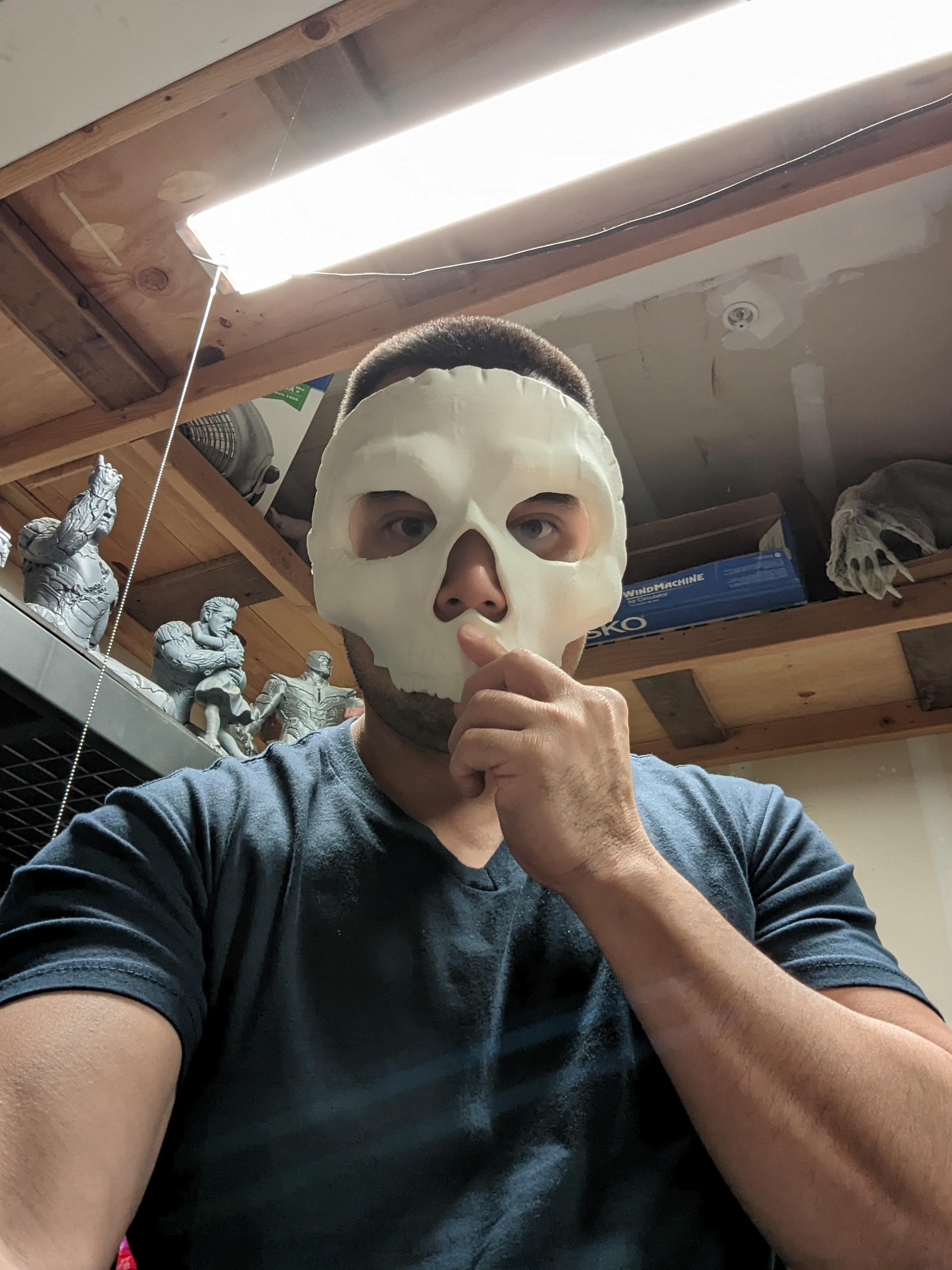 CoD Ghost Mask 3d model