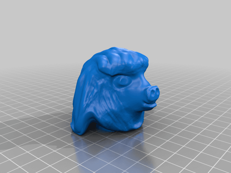 Fun hairy pig head 3d model