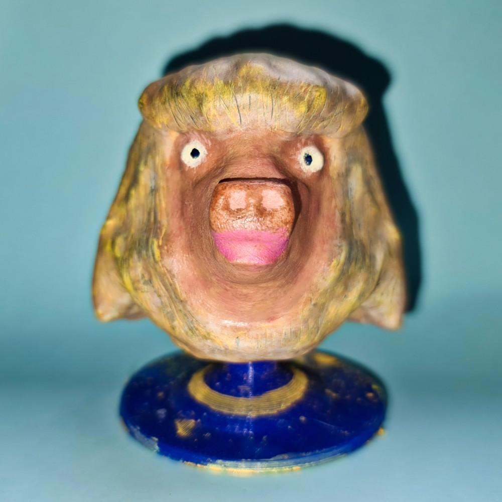 Fun hairy pig head 3d model