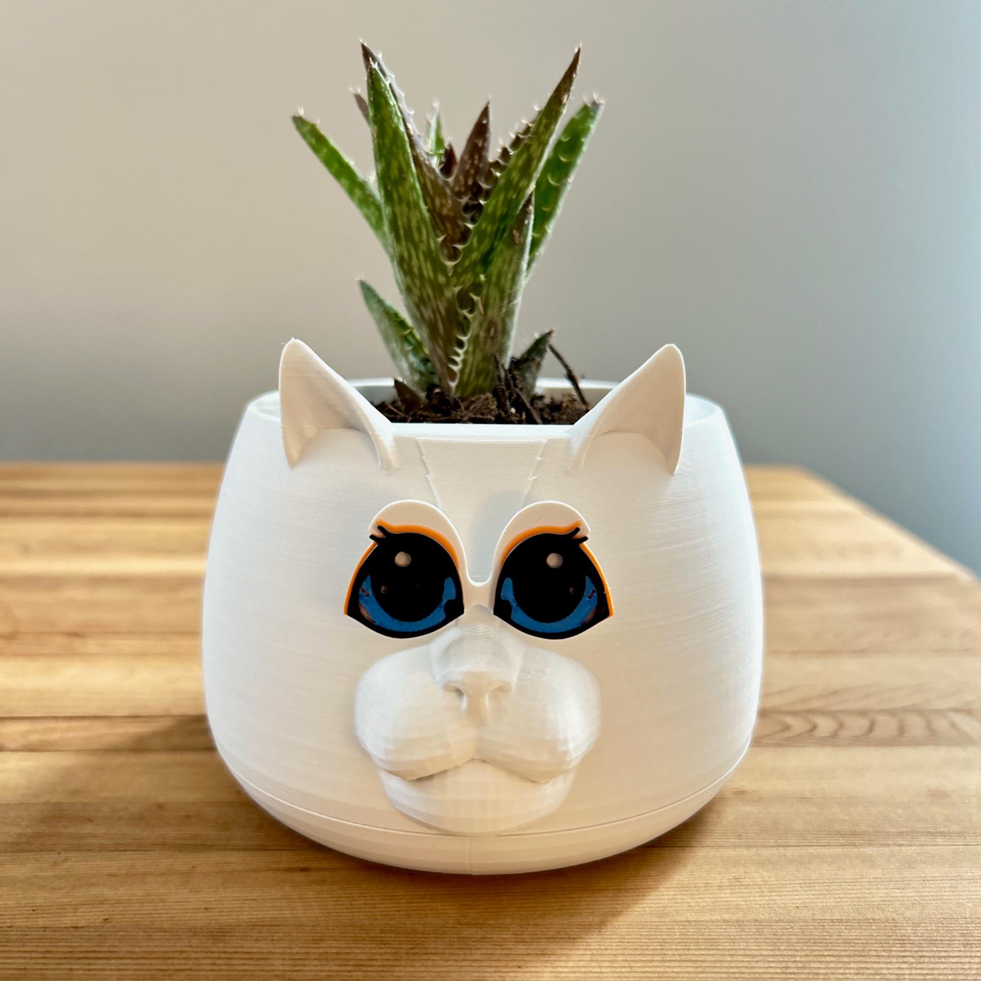 Planter Pal “Cassy the Cat” w/ Drip Tray 3d model