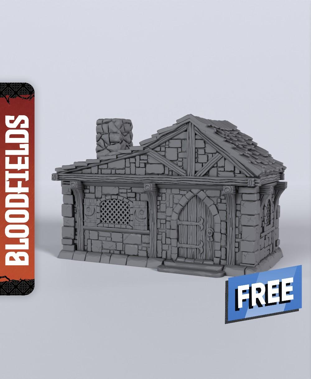 Small Building A - With Free Dragon Warhammer - 5e DnD Inspired for RPG and Wargamers 3d model