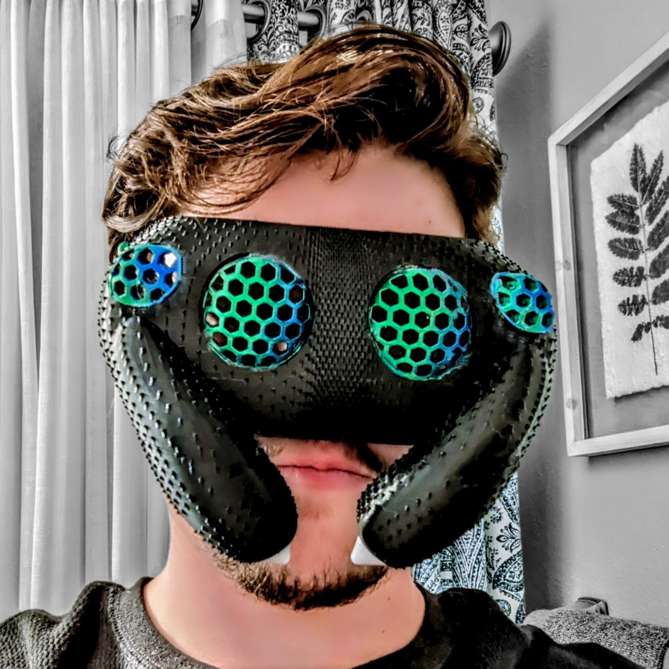 Scary Spider Mask/Glasses 3d model
