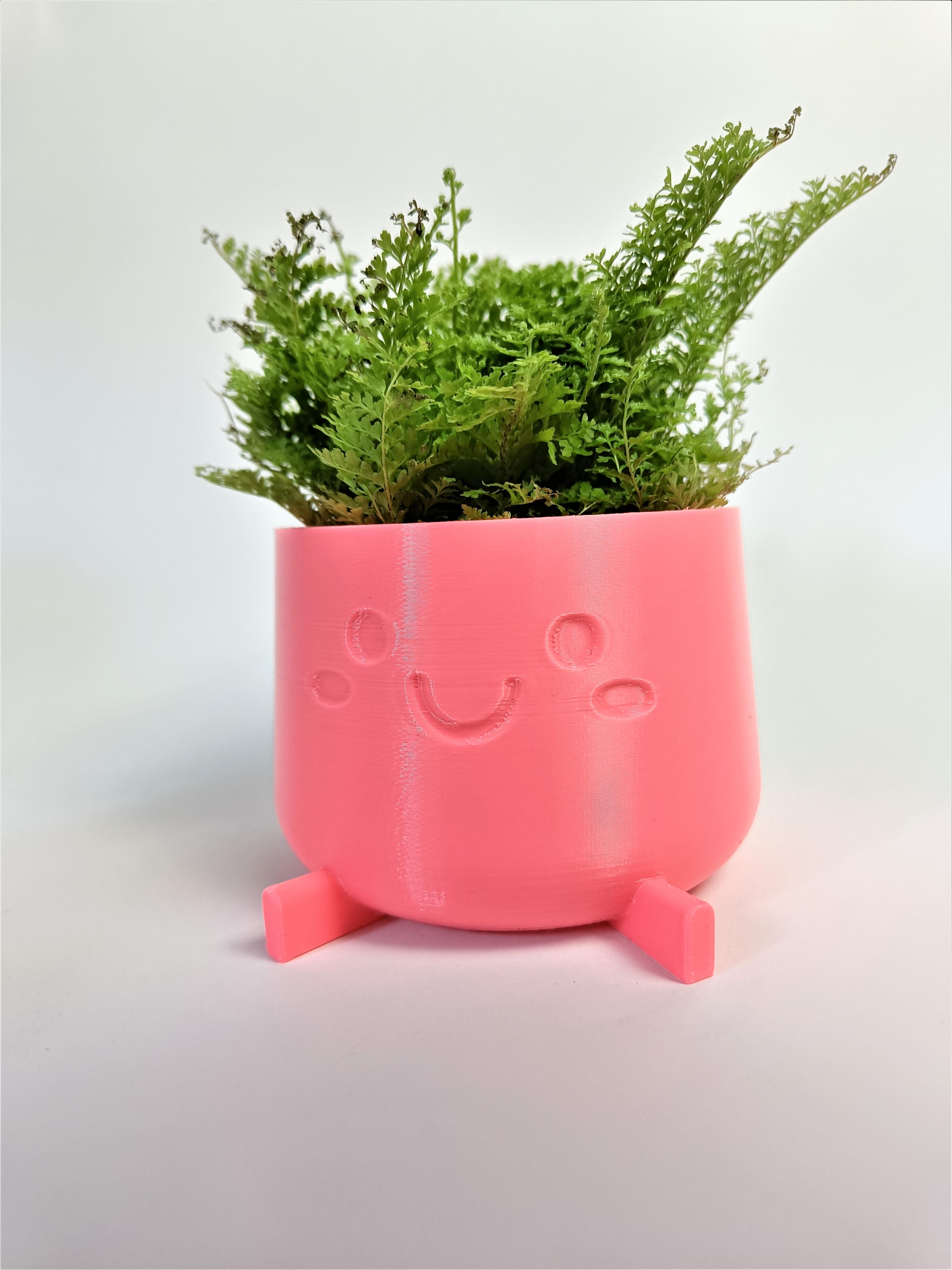 Cute Planter Lina 3d model