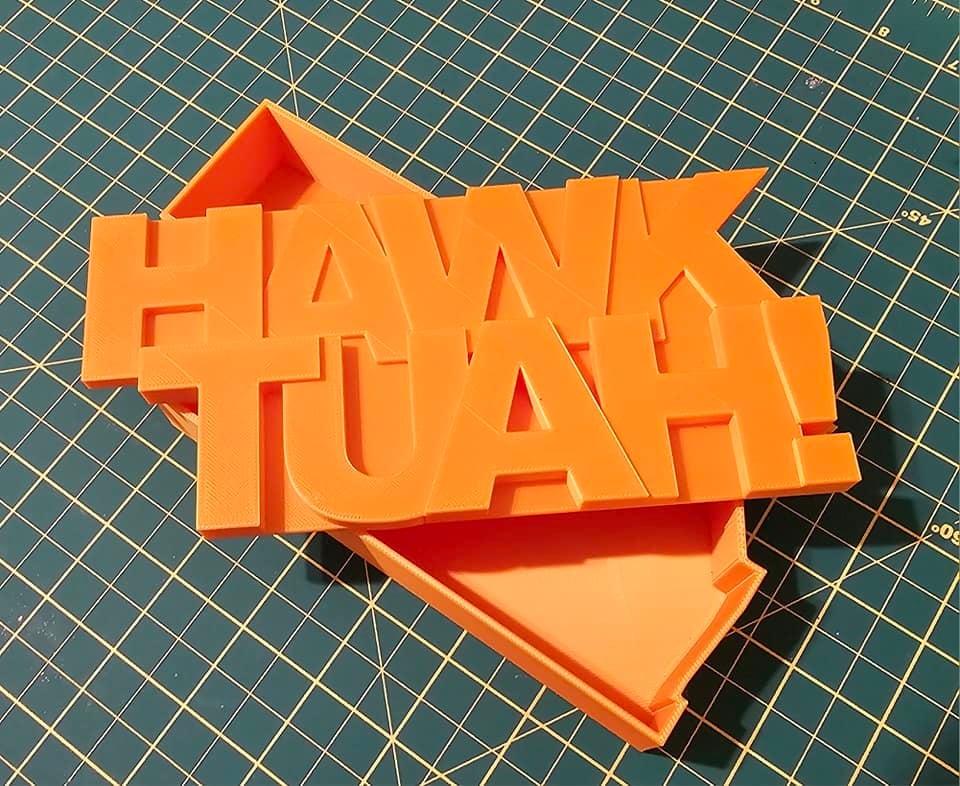 HAWK TUAH! BOX 3d model