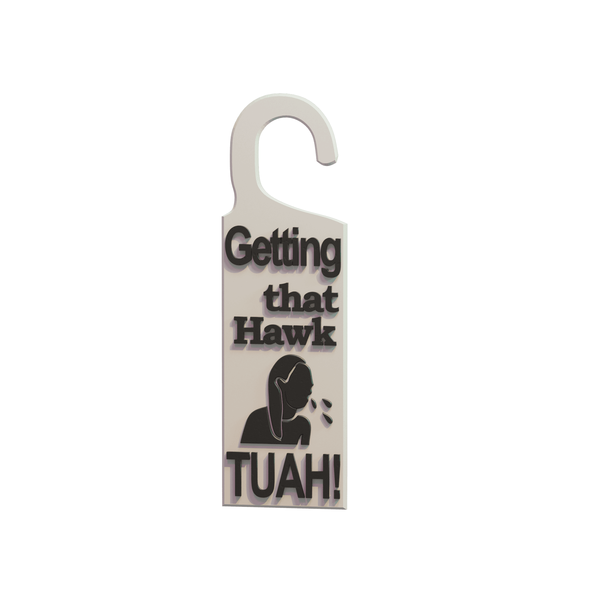Hawk Tuah Do Not Disturb Sign 3d model