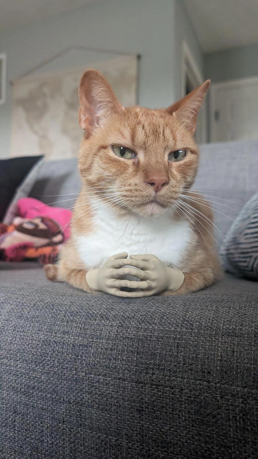 Sinister Cat Hands 3d model