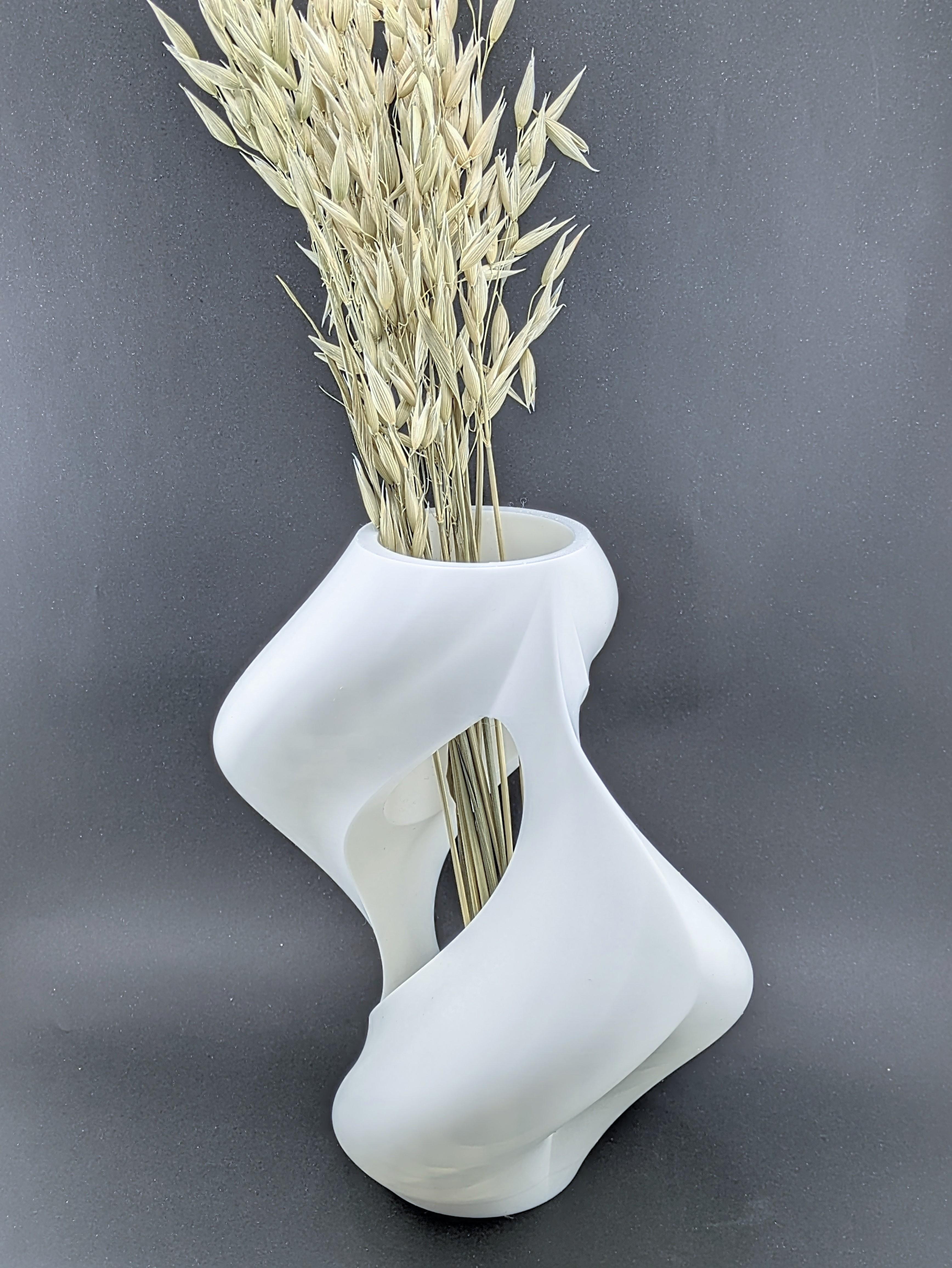 Formosa Vase 3d model