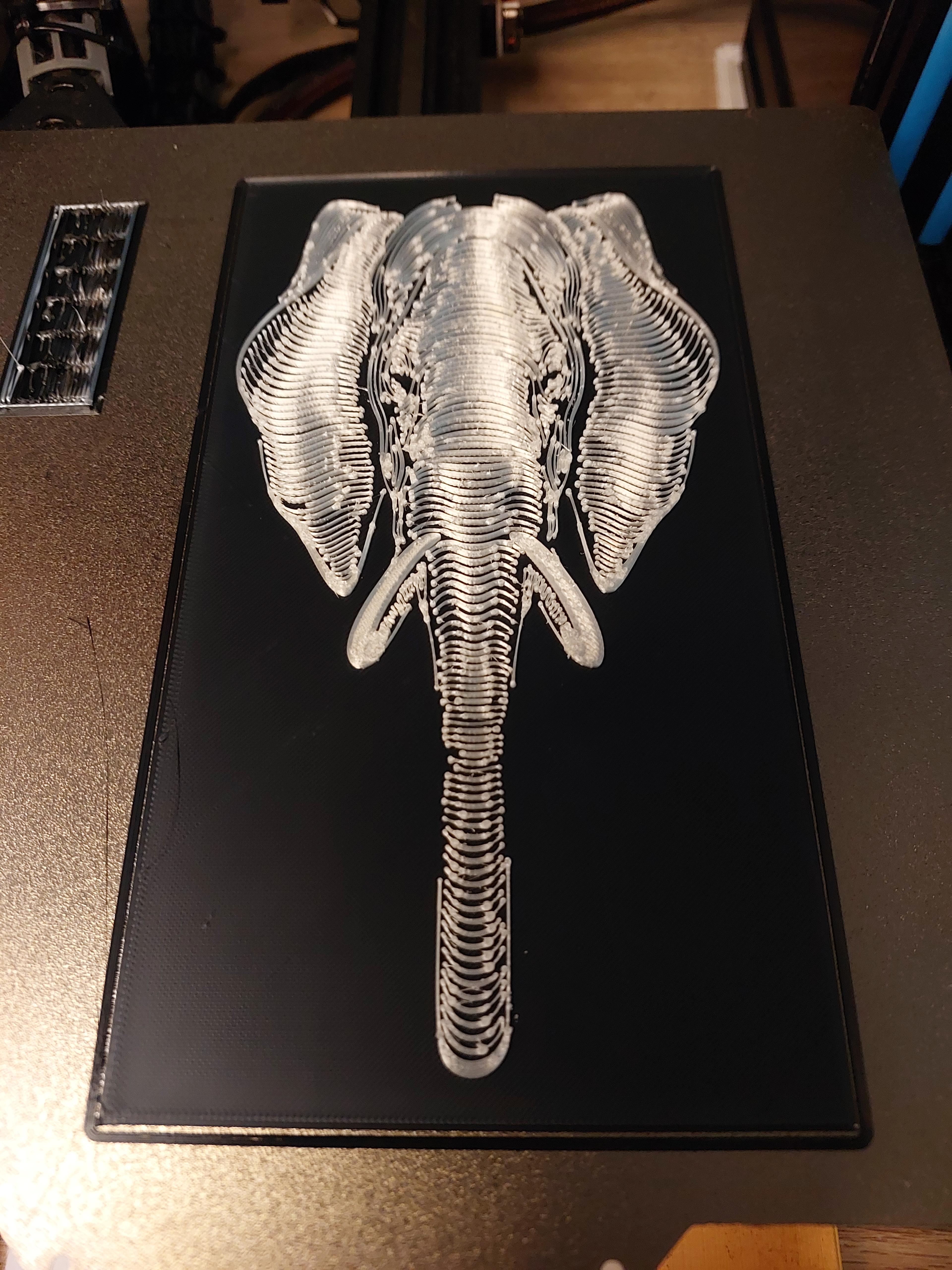 Elephant Portrait 1 3d model