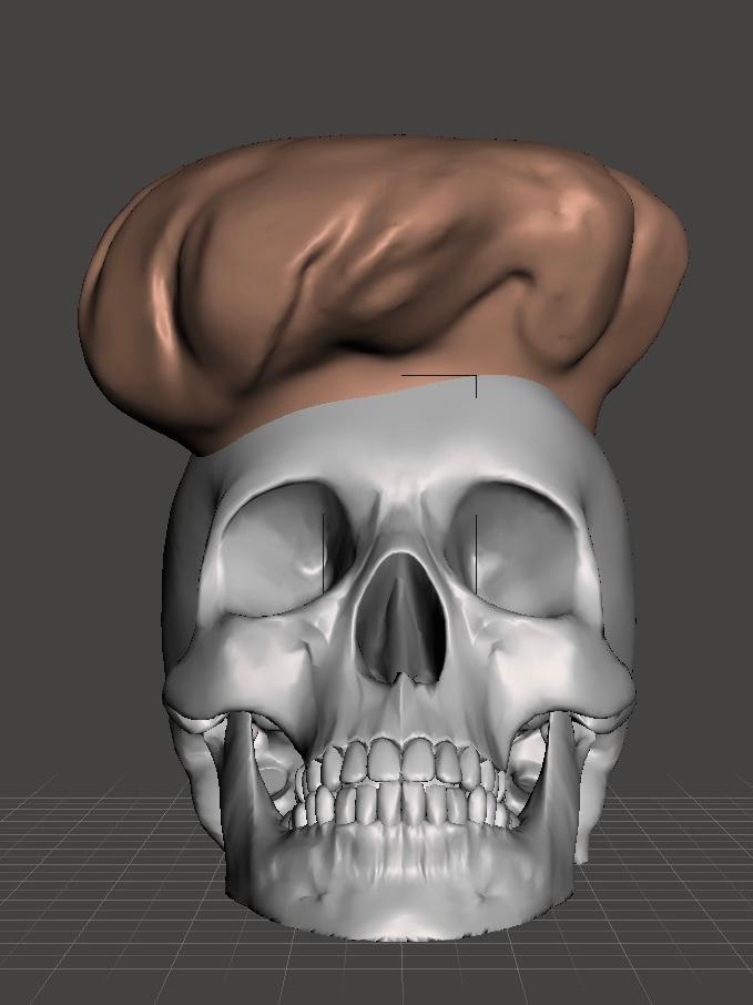 chef skull 3d model