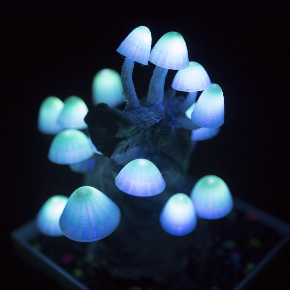Mushroom Caps for Glowing Mushroom Light 3d model
