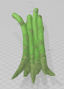 Asparagus 3d model