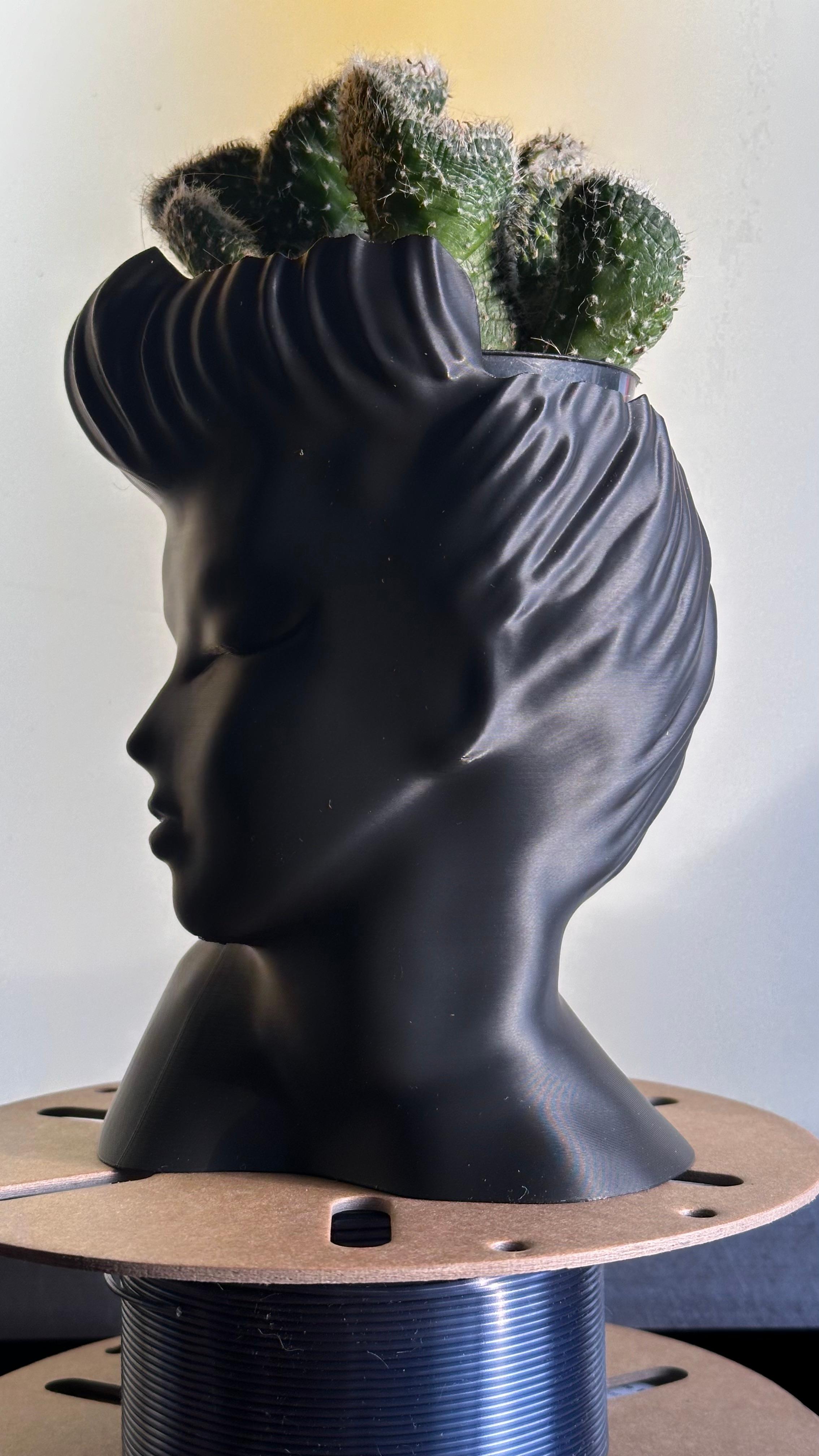 Planter/Vase Head Mid Century Modern 3d model