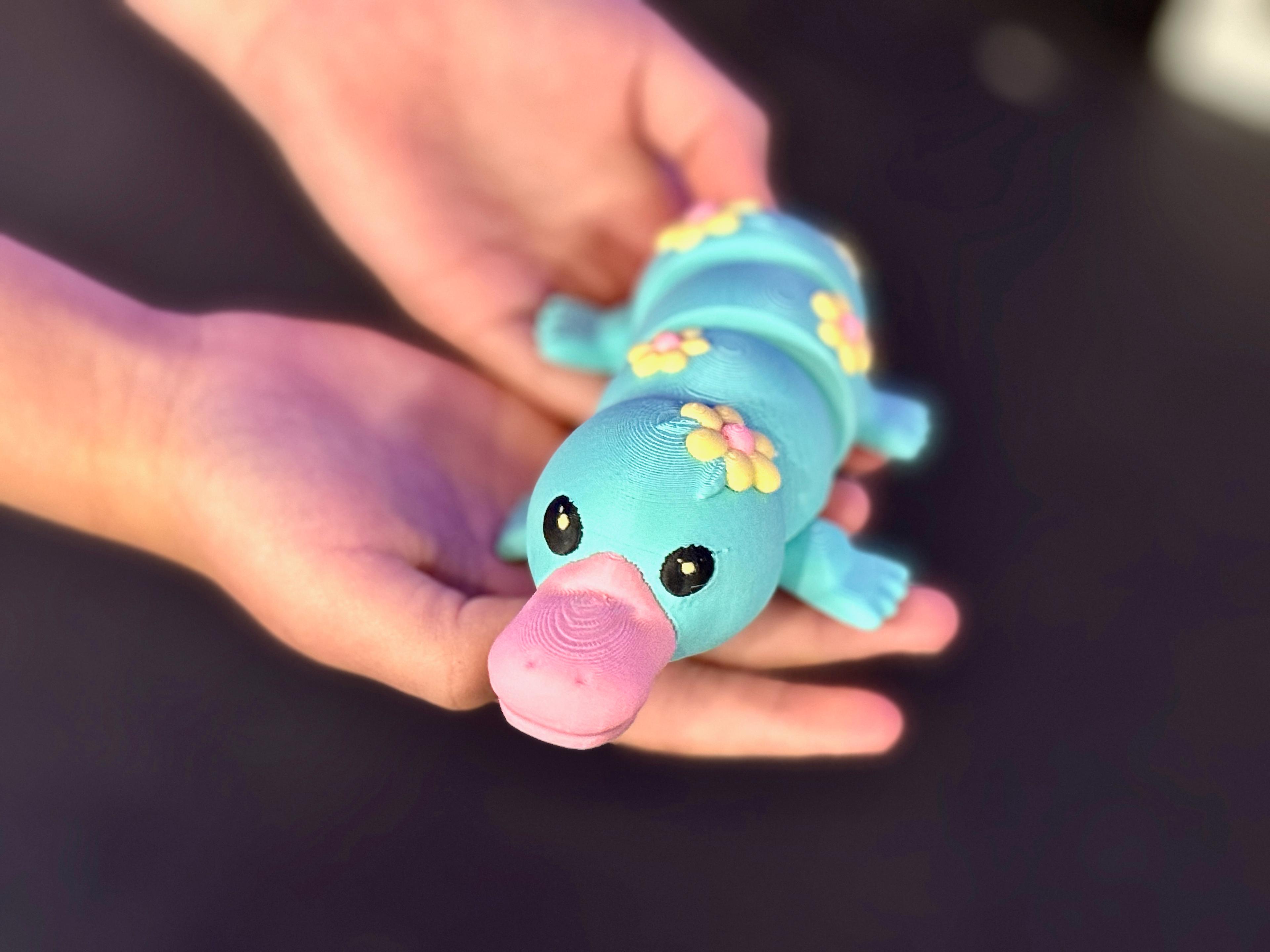 Articulated Floral Platypus by Teal Cat Creative 3d model