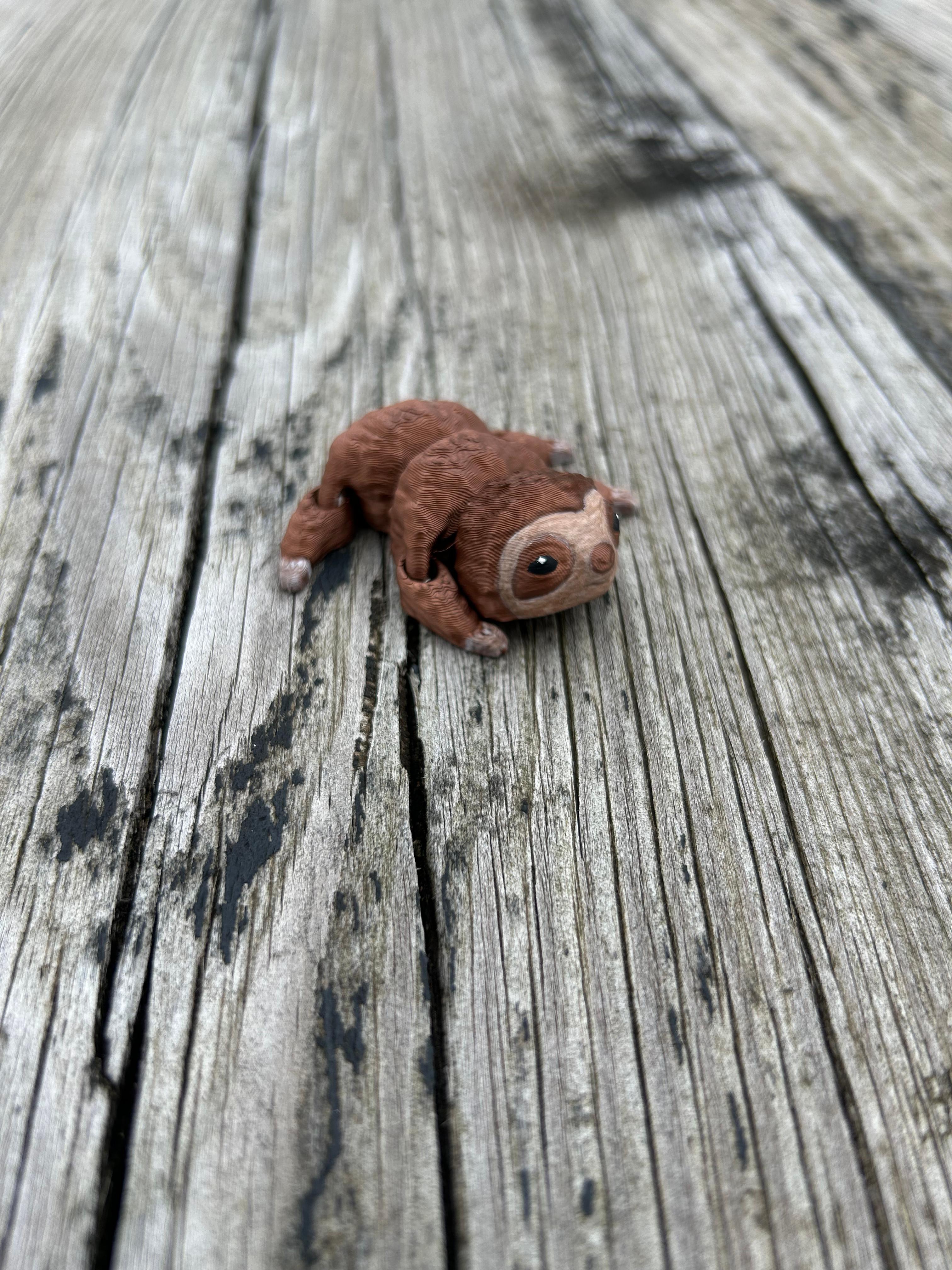 Baby Sloth Fidget with movable legs 3d model