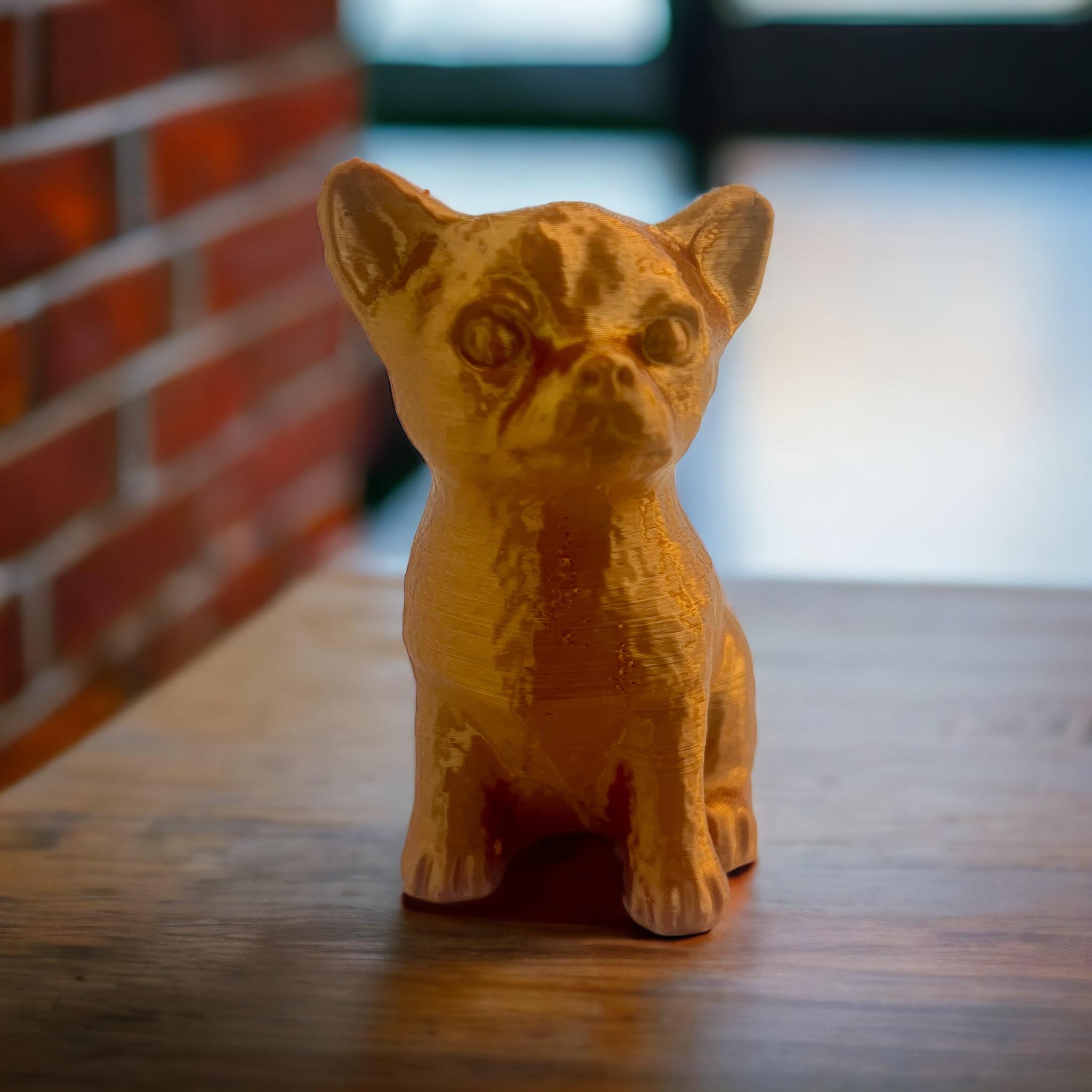 Chihuahua dog 3d model