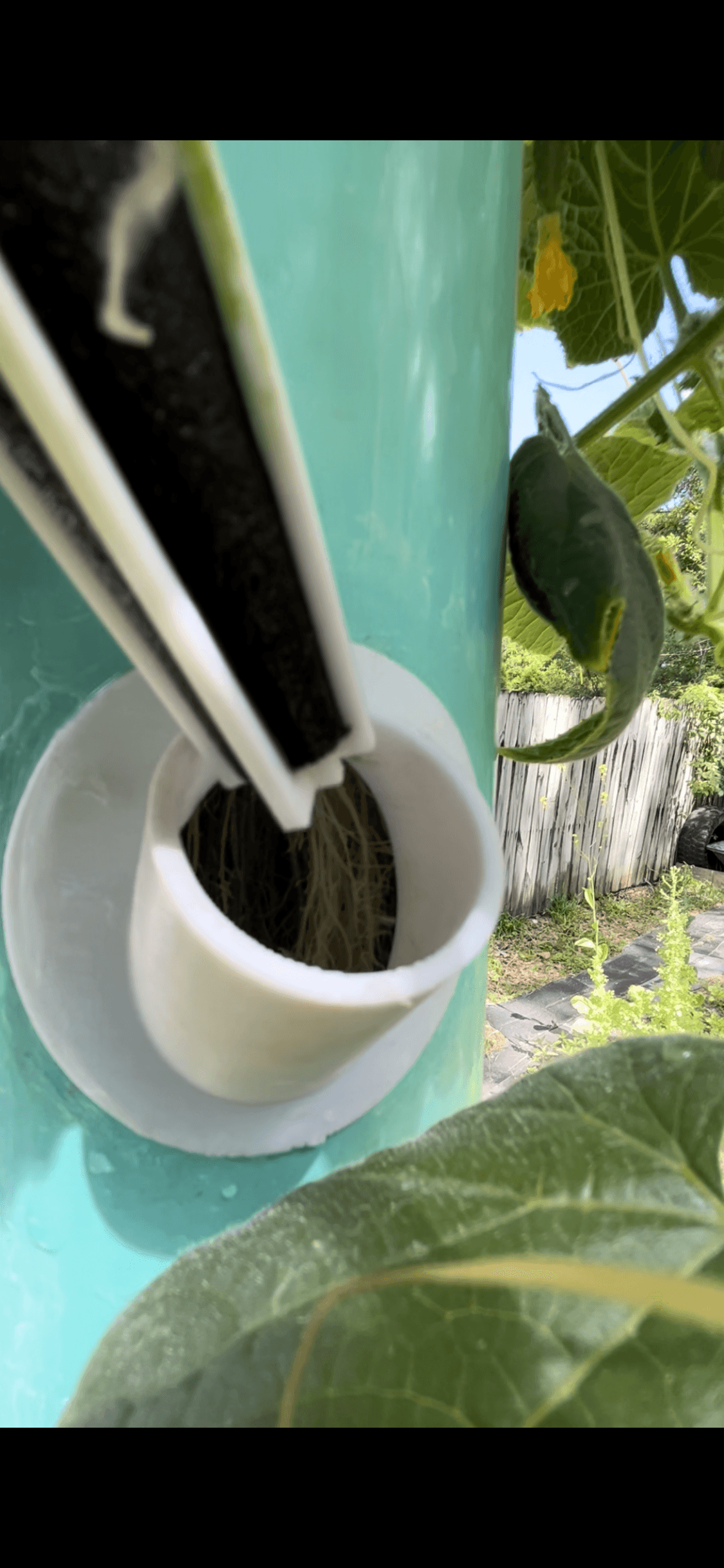 Hydroponic Adater For a 4 Inch Pvc Pipe 3d model