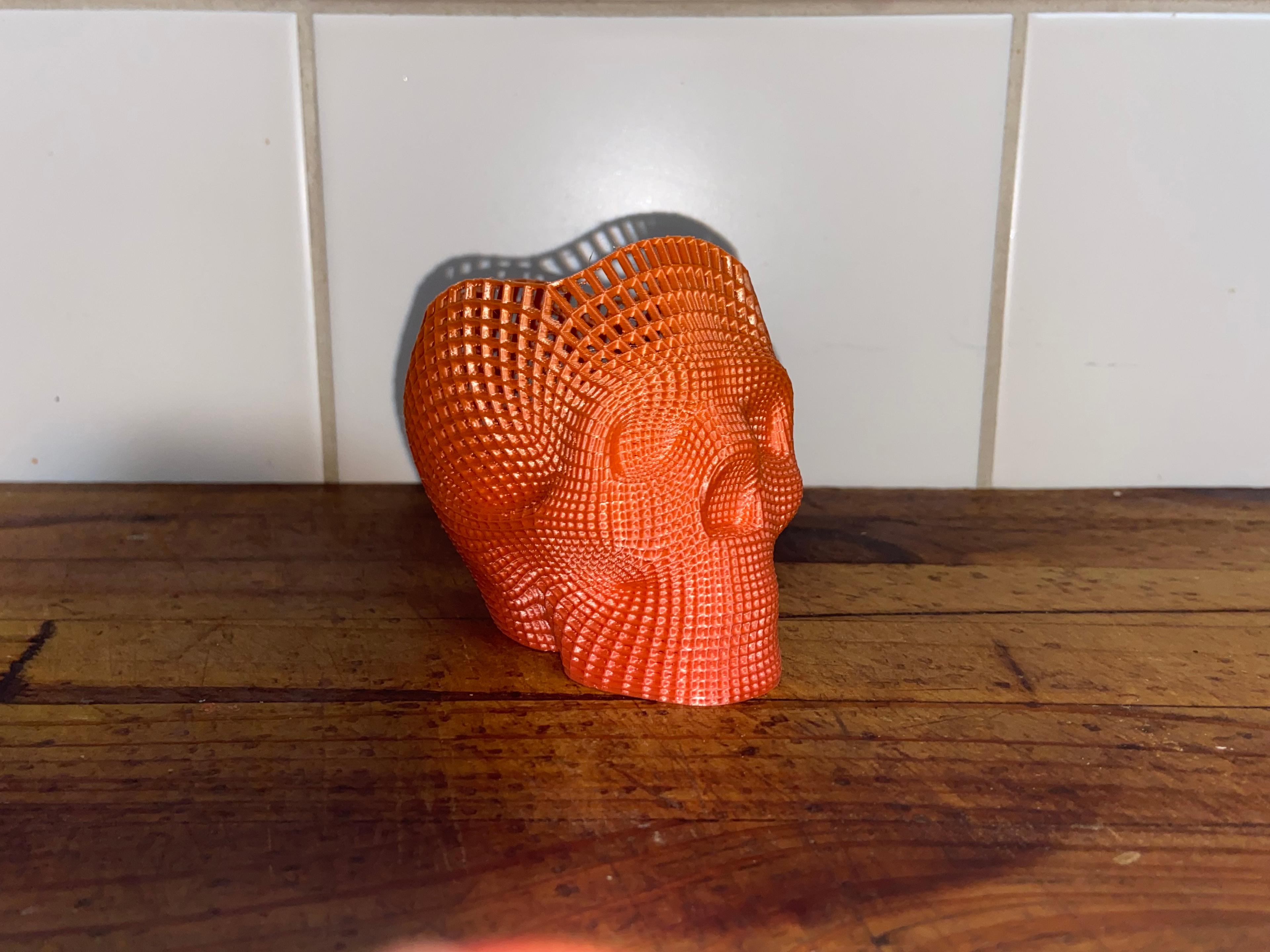Wireframe skull pencil holder 3d model