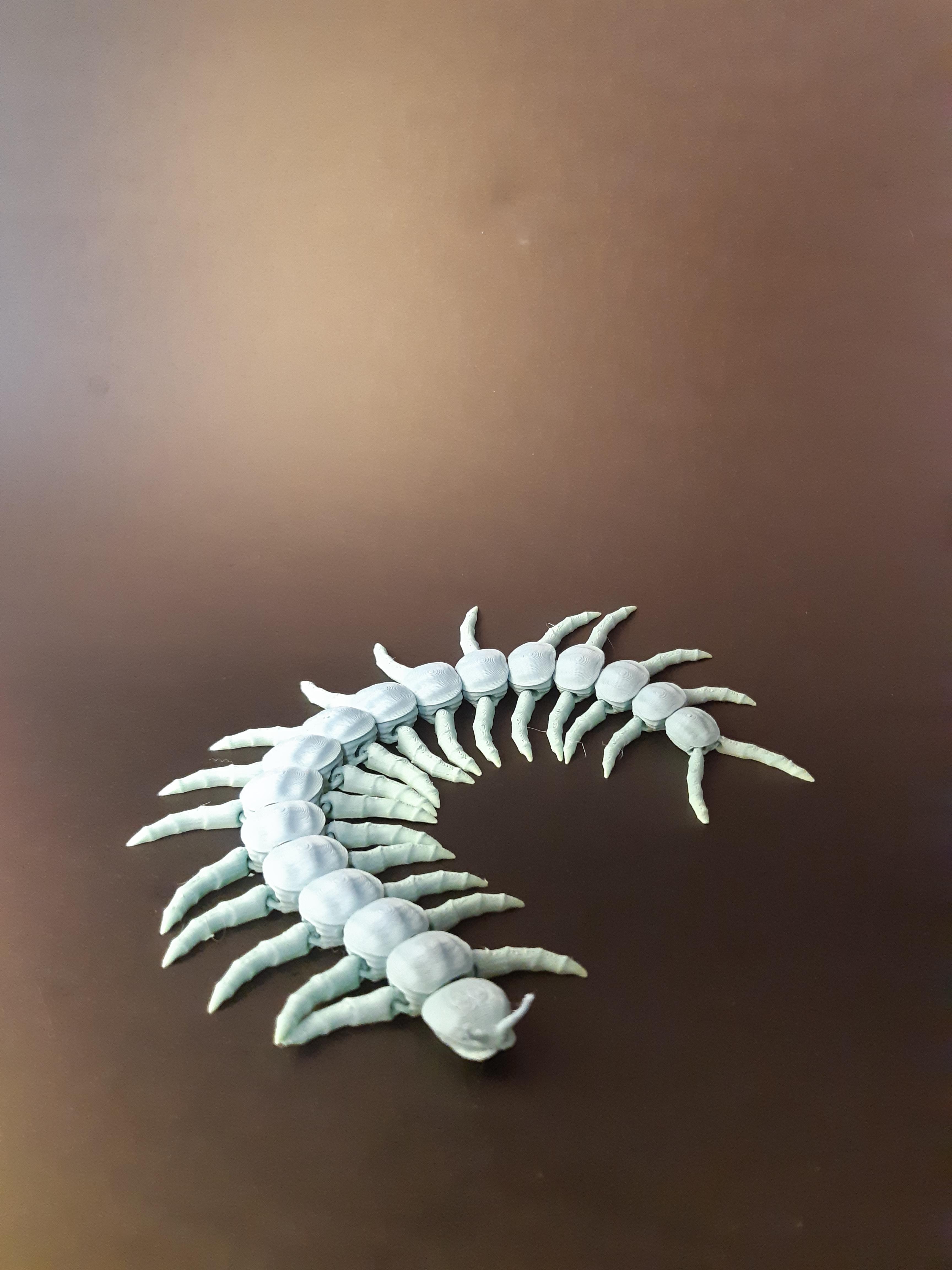 Articulated Centipede Print-in-Place 3d model