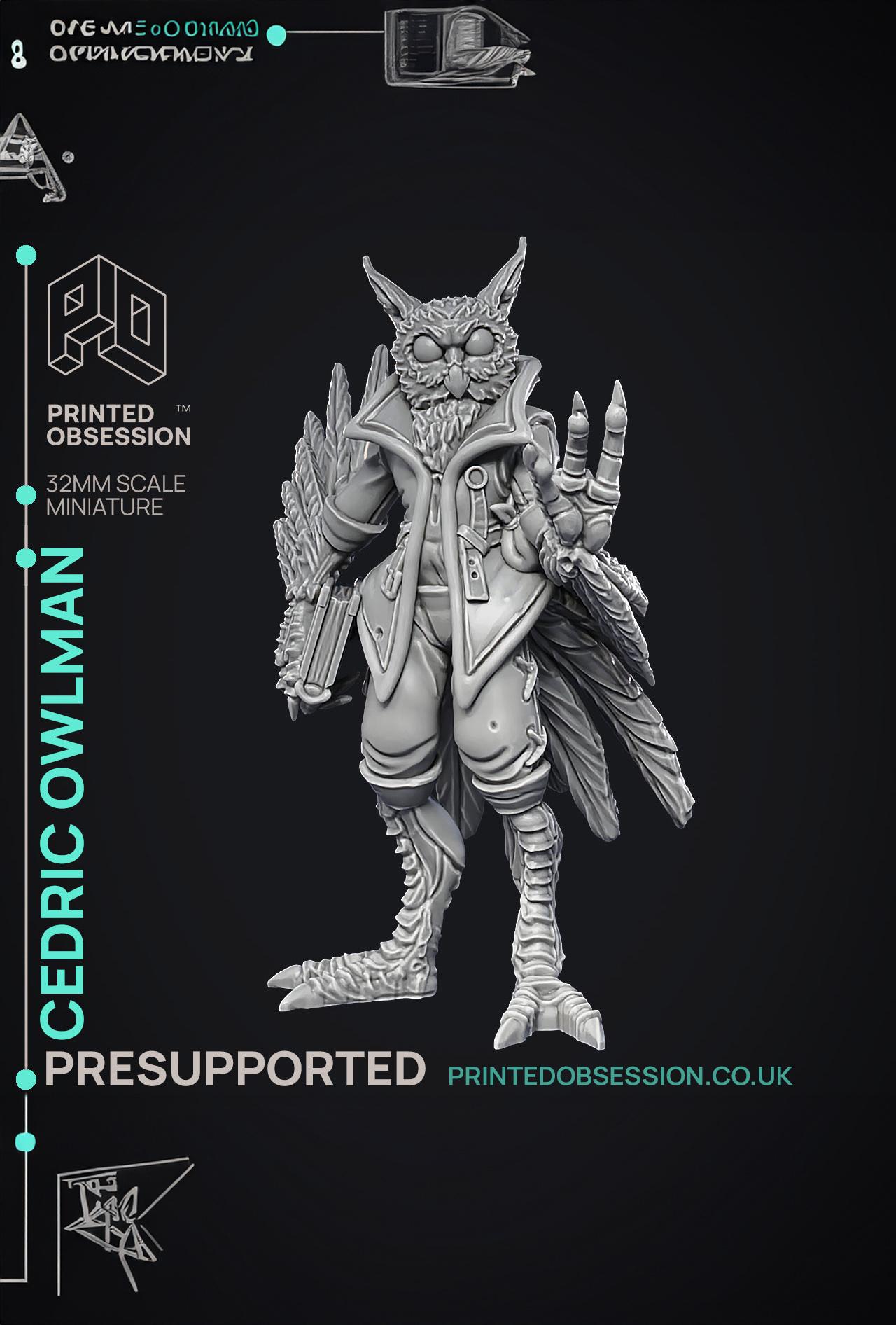 Owlman - Frindly NPC - Cryptids of the Darkwoods - PRESUPPORTED - Illustrated and Stats - 32mm scale 3d model