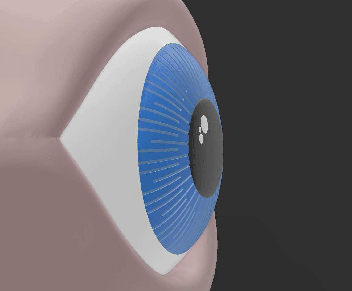 eye with wings 3d model