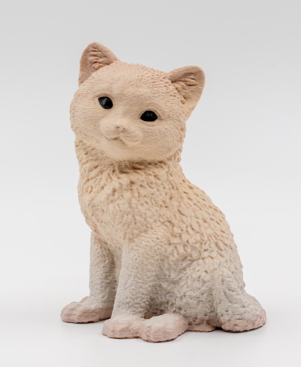Cat-Statue-Scan_by_MORAST.stl 3d model