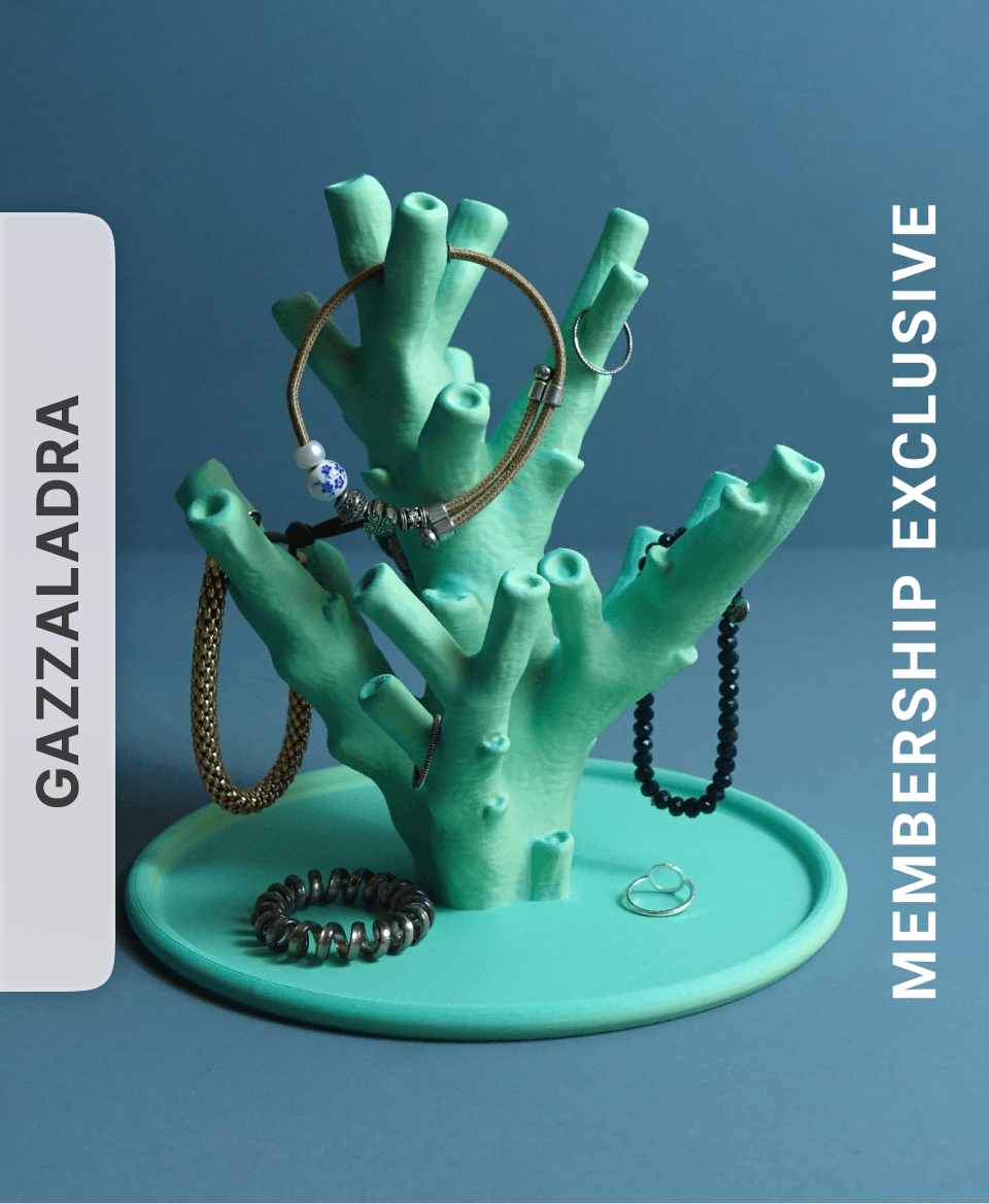Jewelry holder “echinata coral” by gazzaladra 3d model
