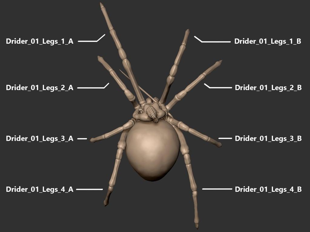 Drider - Tabletop Miniature  3d model