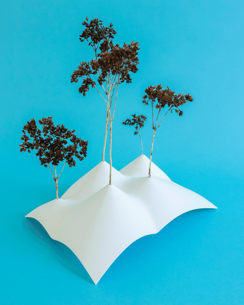 5 Peaks // Dried Plant Holders (2 sizes) 3d model