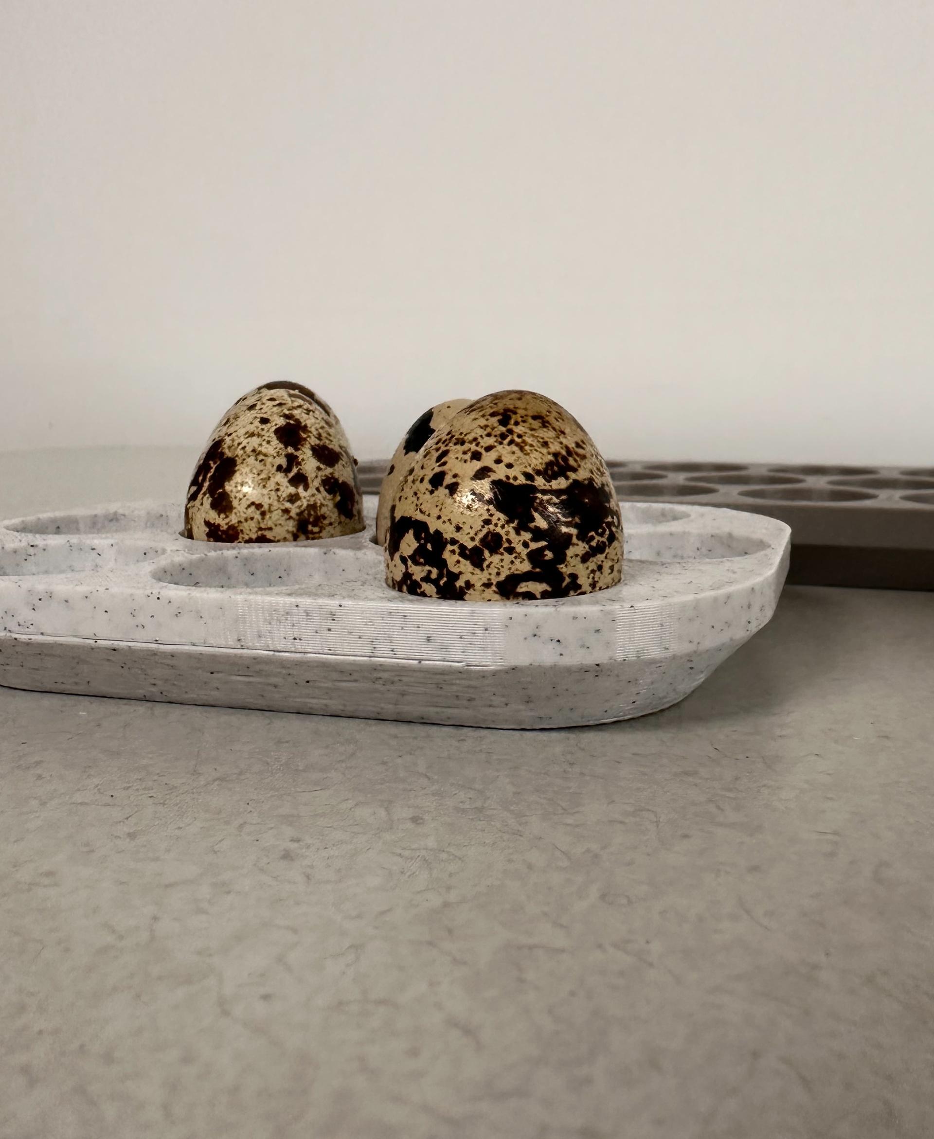 15 Quail Egg Tray 3d model